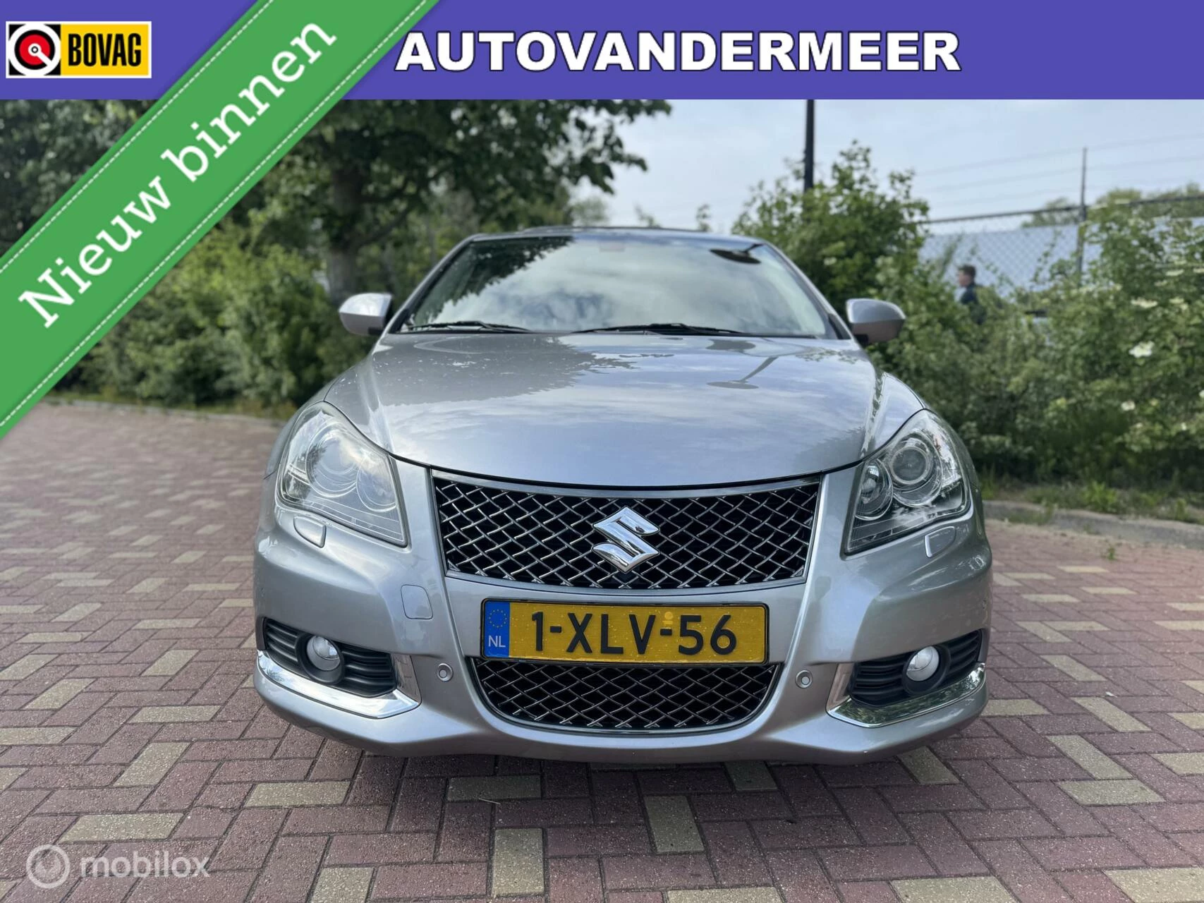 Hoofdafbeelding Suzuki Kizashi