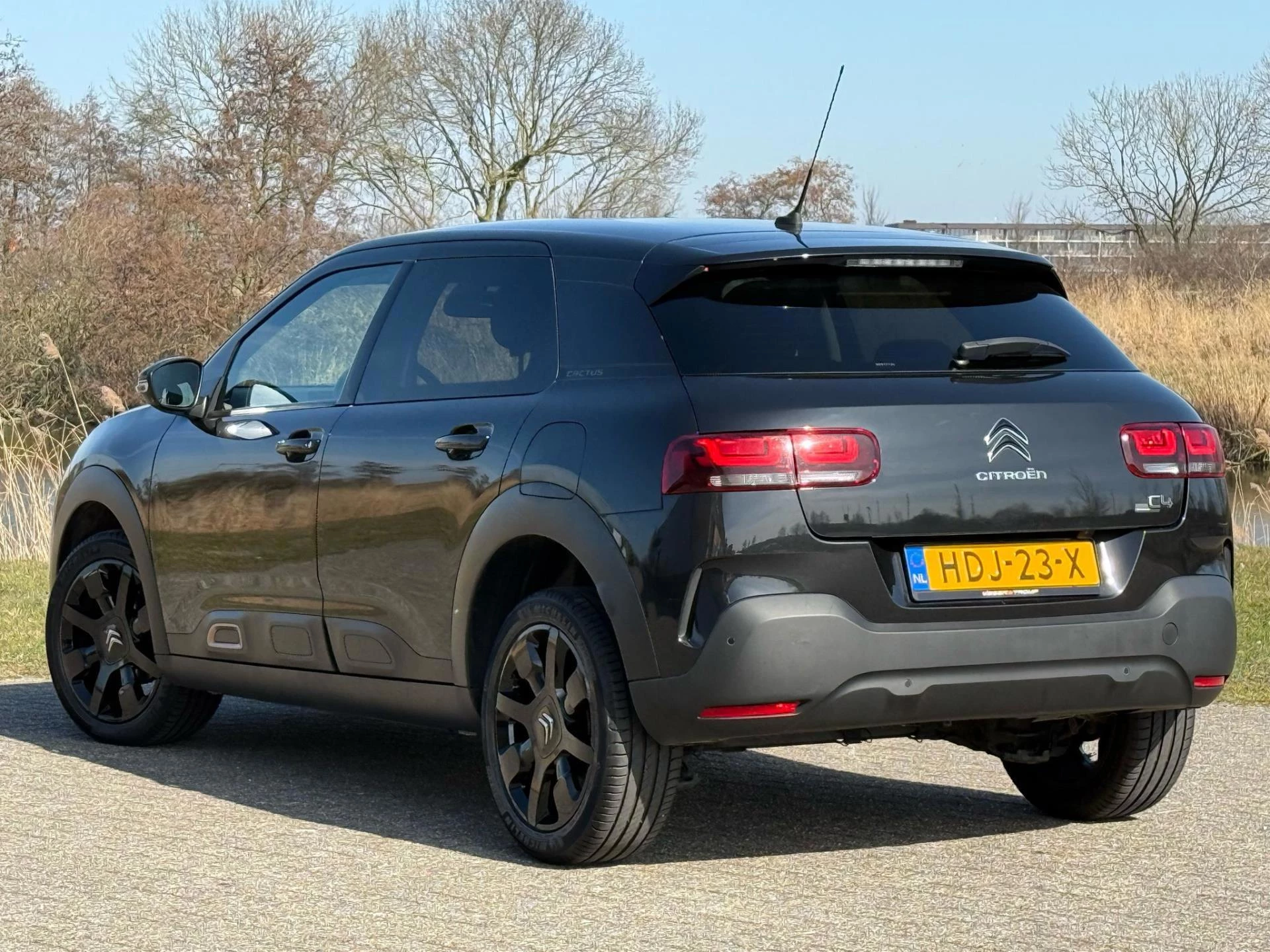 Hoofdafbeelding Citroën C4 Cactus