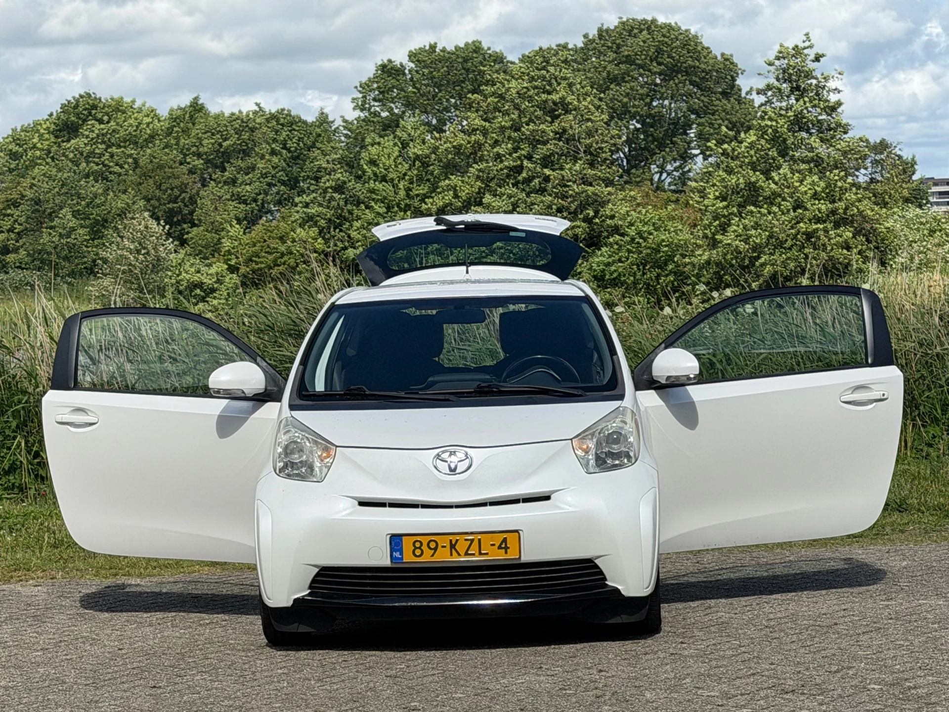 Hoofdafbeelding Toyota iQ