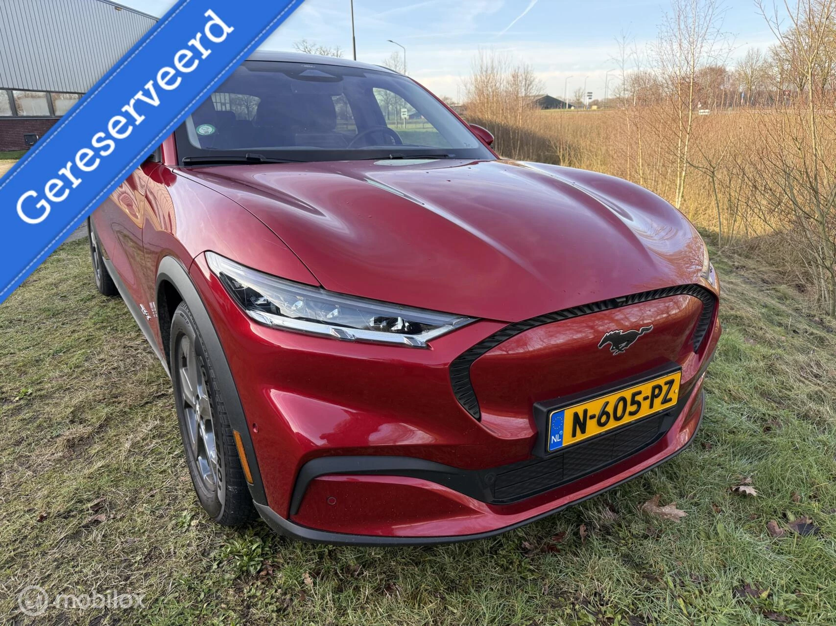 Hoofdafbeelding Ford Mustang Mach-E