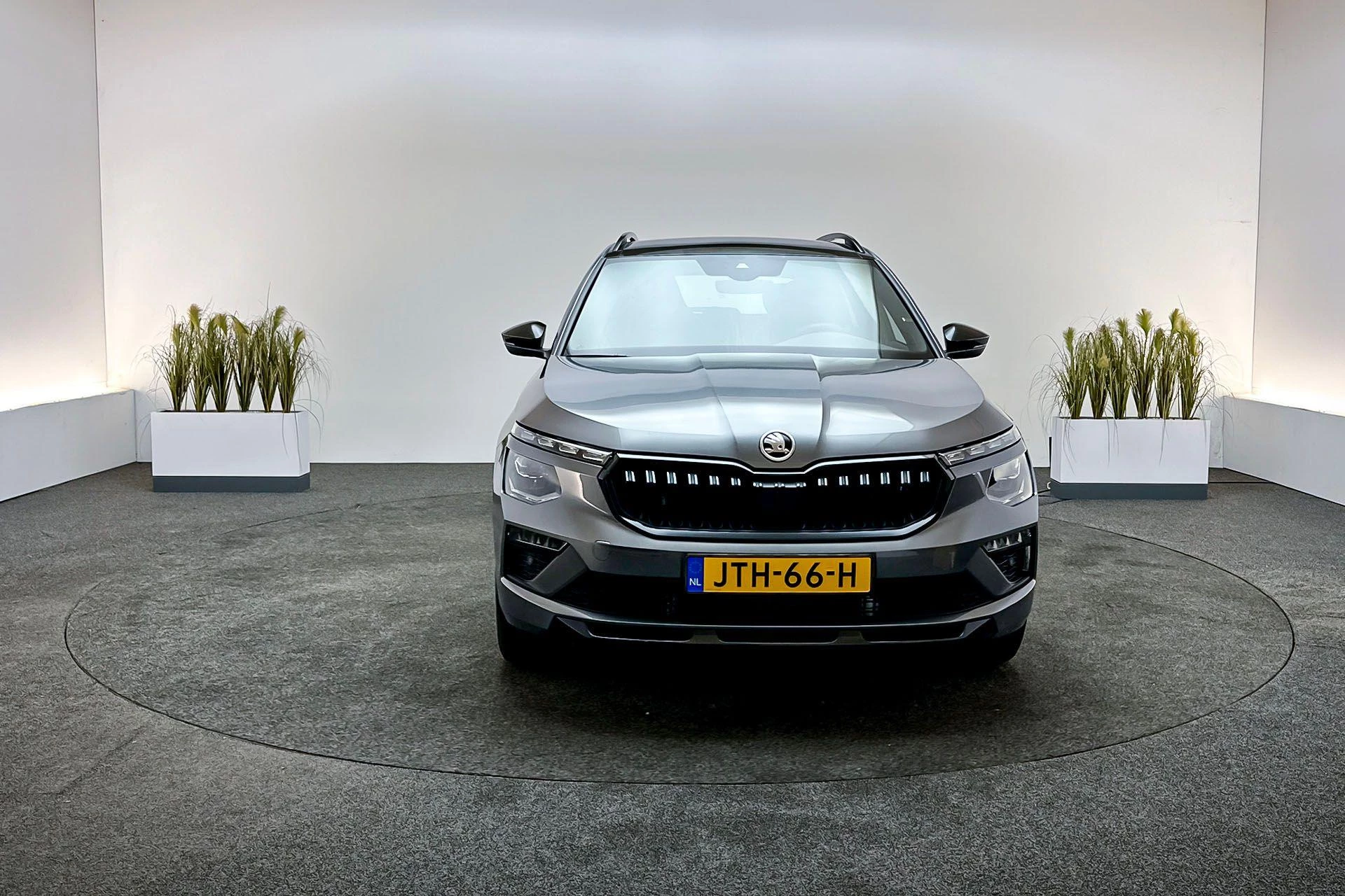 Hoofdafbeelding Škoda Kamiq