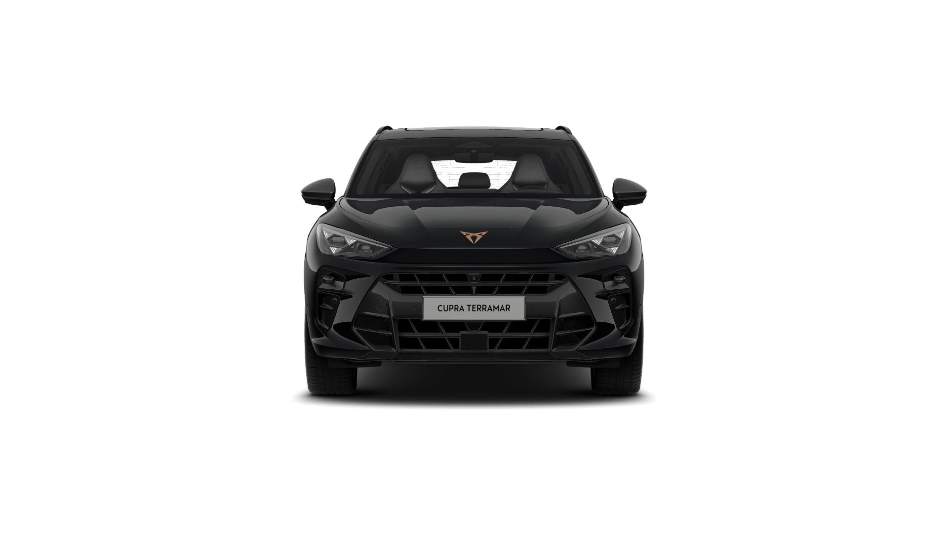 Hoofdafbeelding CUPRA Terramar
