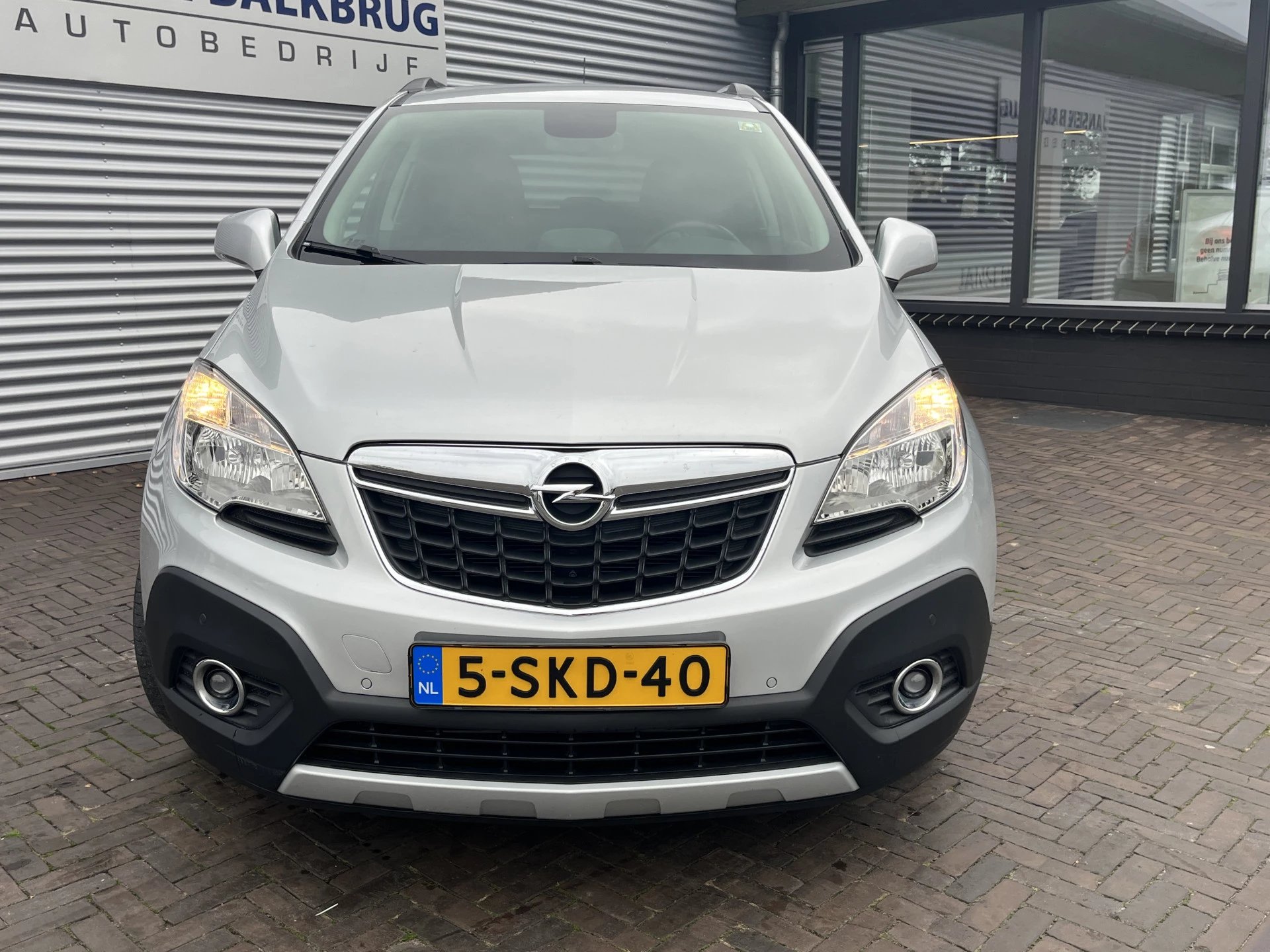 Hoofdafbeelding Opel Mokka