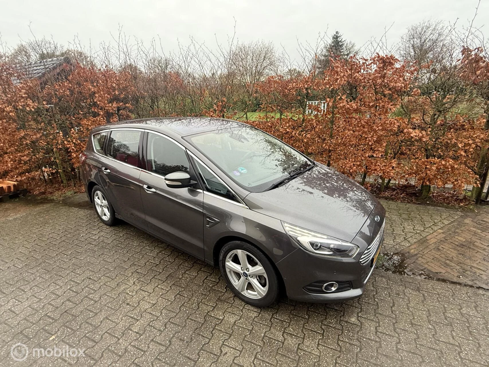 Hoofdafbeelding Ford S-Max