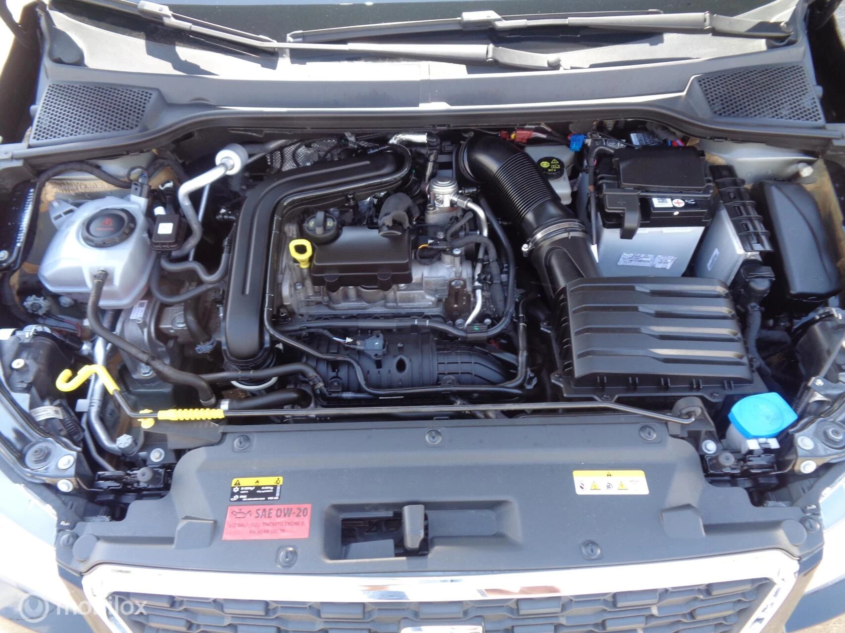Hoofdafbeelding SEAT Arona