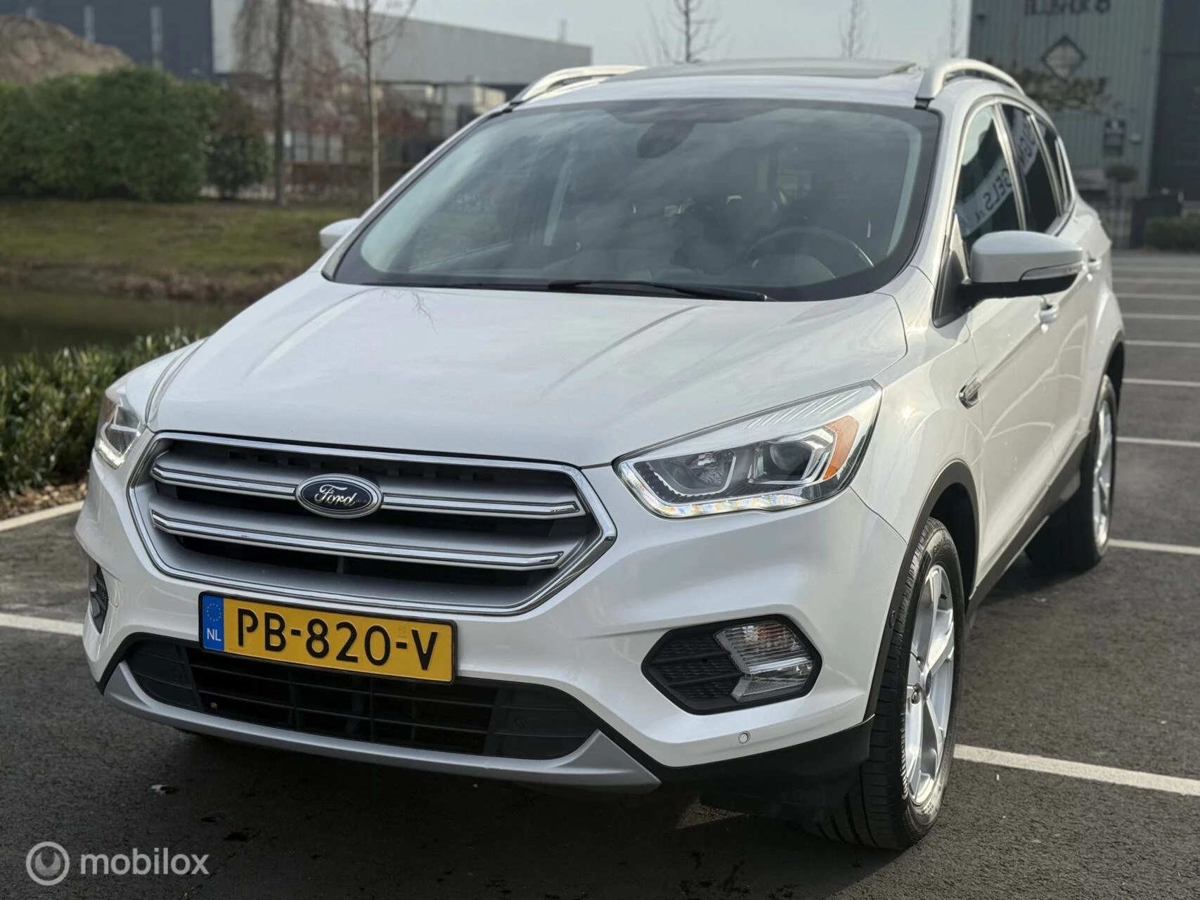 Hoofdafbeelding Ford Kuga