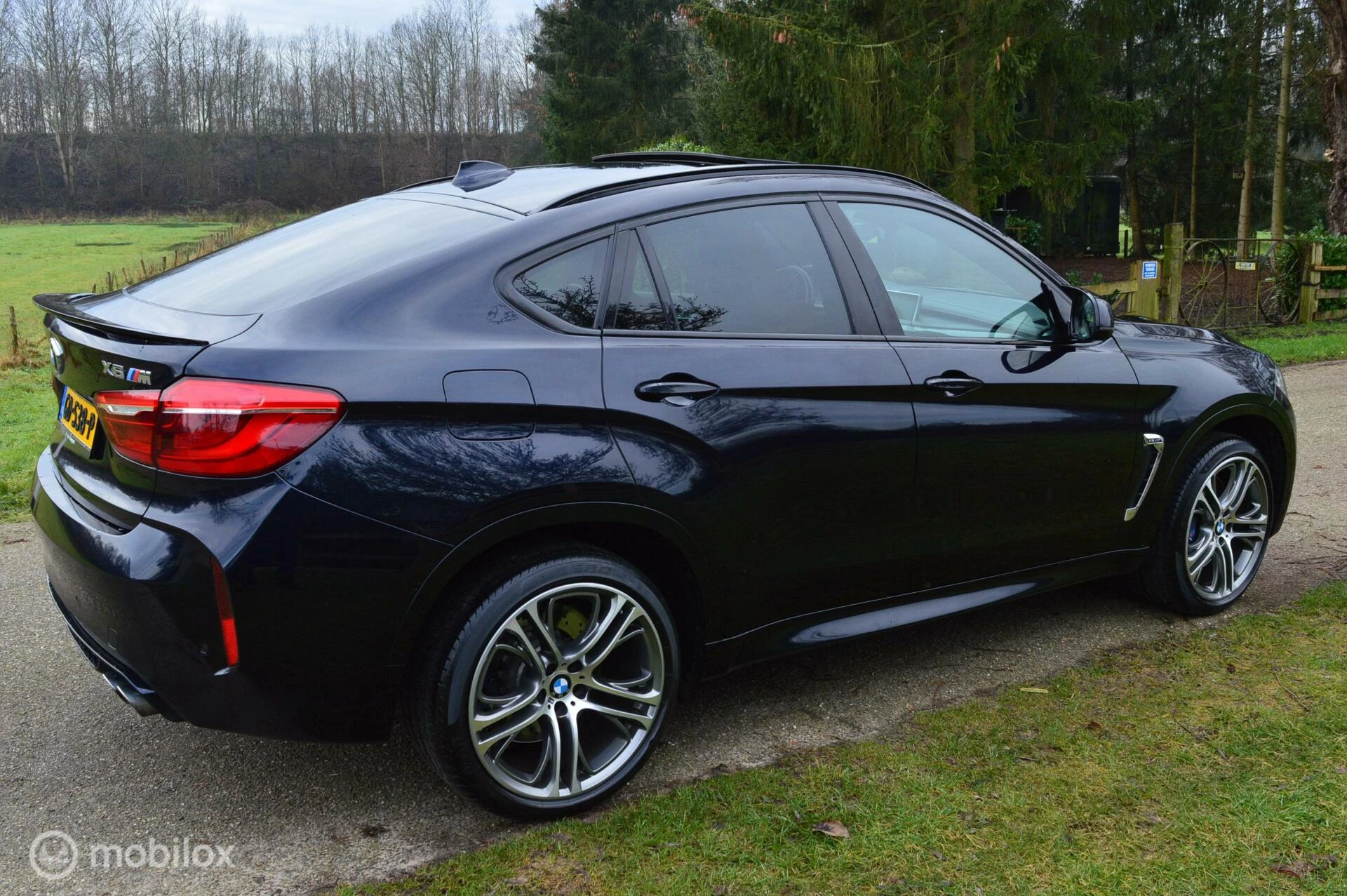 Hoofdafbeelding BMW X6