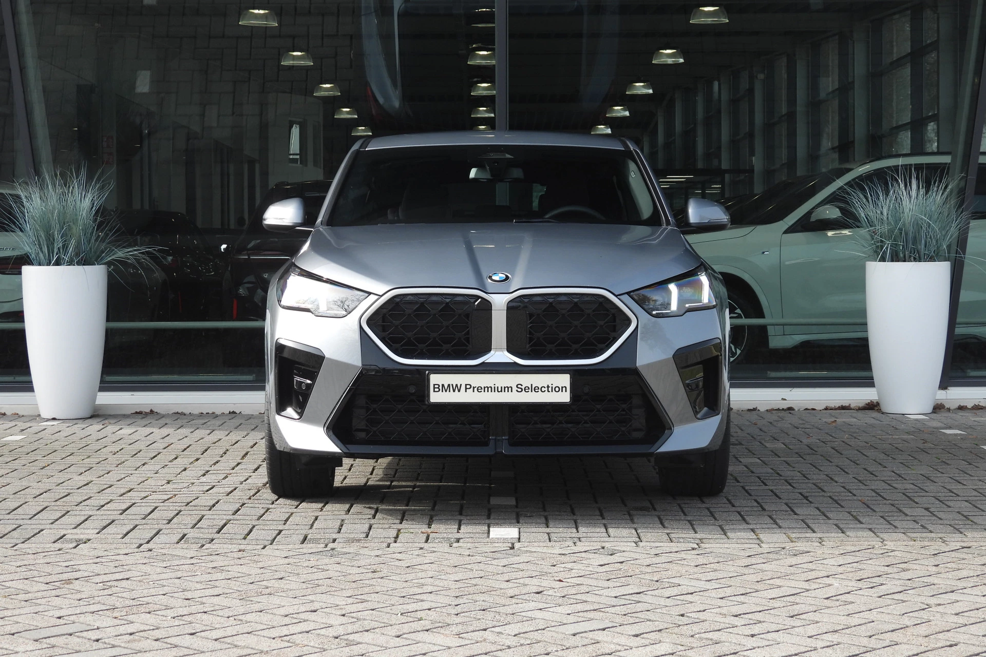 Hoofdafbeelding BMW X2