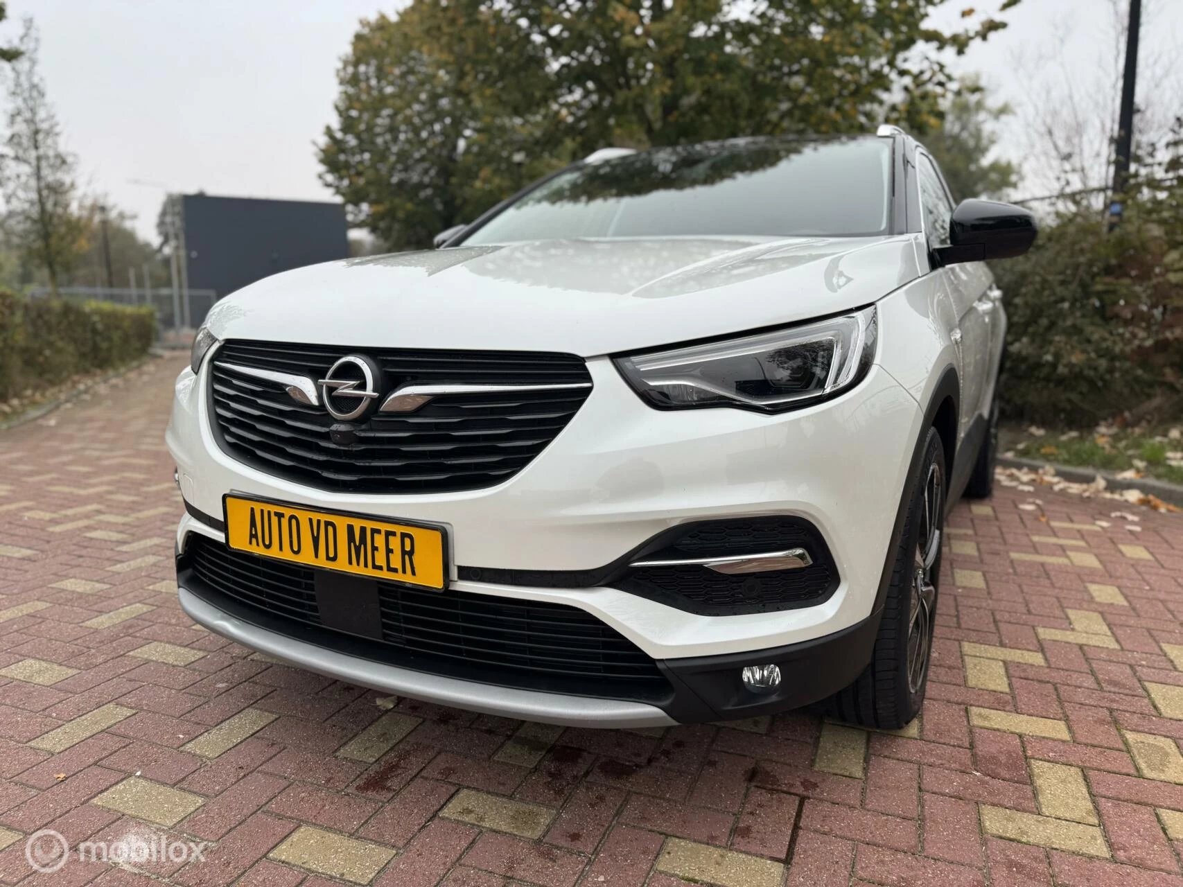 Hoofdafbeelding Opel Grandland X