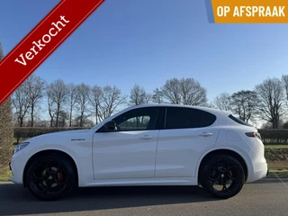 Hoofdafbeelding Alfa Romeo Stelvio Alfa Romeo Stelvio 2.0 T Q4 280pk, My22 Estrema, 42dkm, Unieke uitvoering