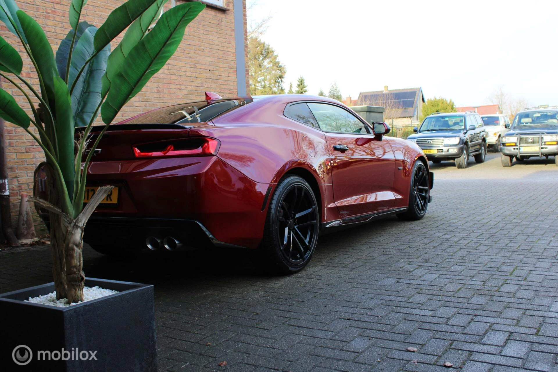 Hoofdafbeelding Chevrolet Camaro