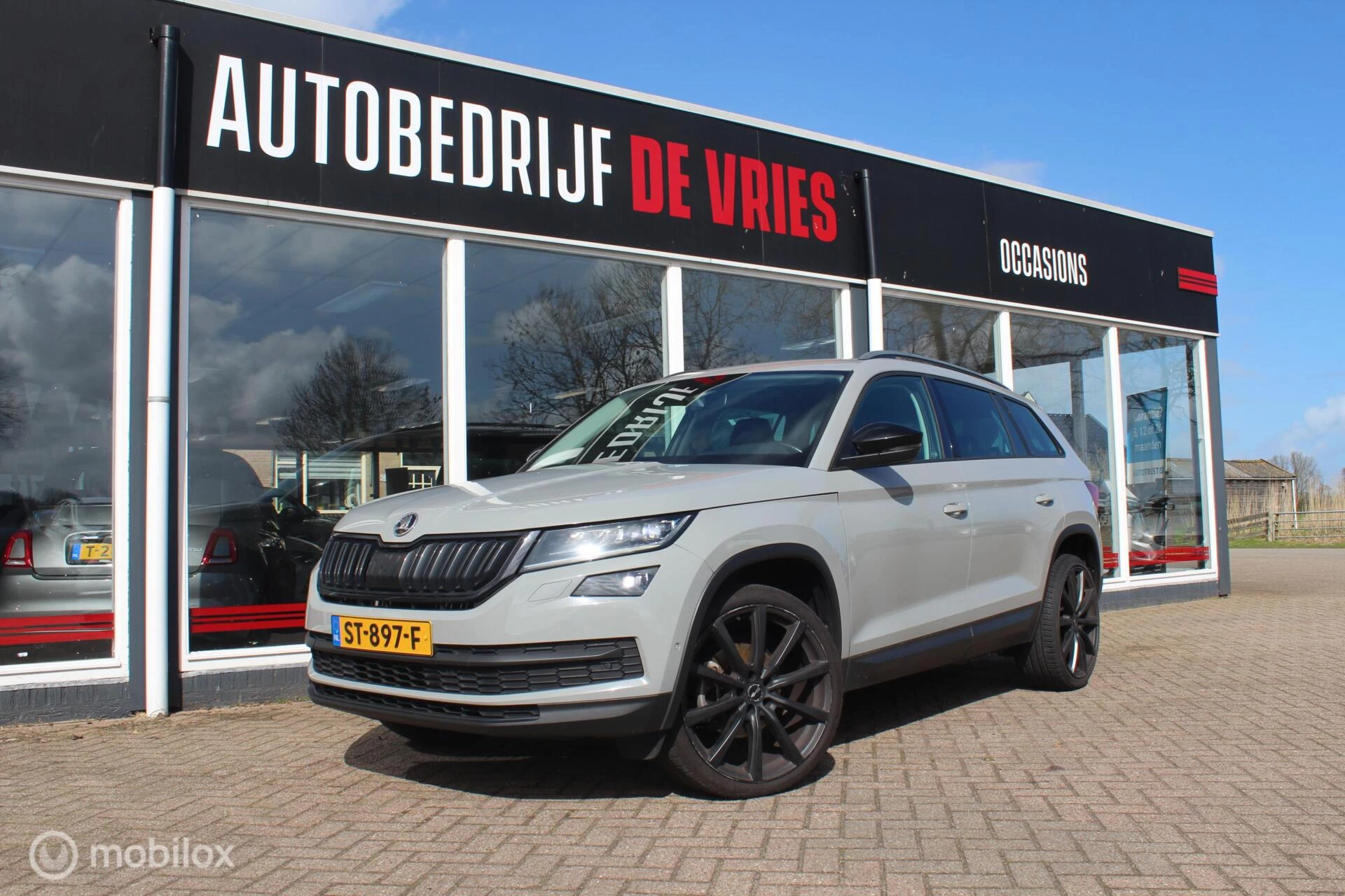Hoofdafbeelding Škoda Kodiaq