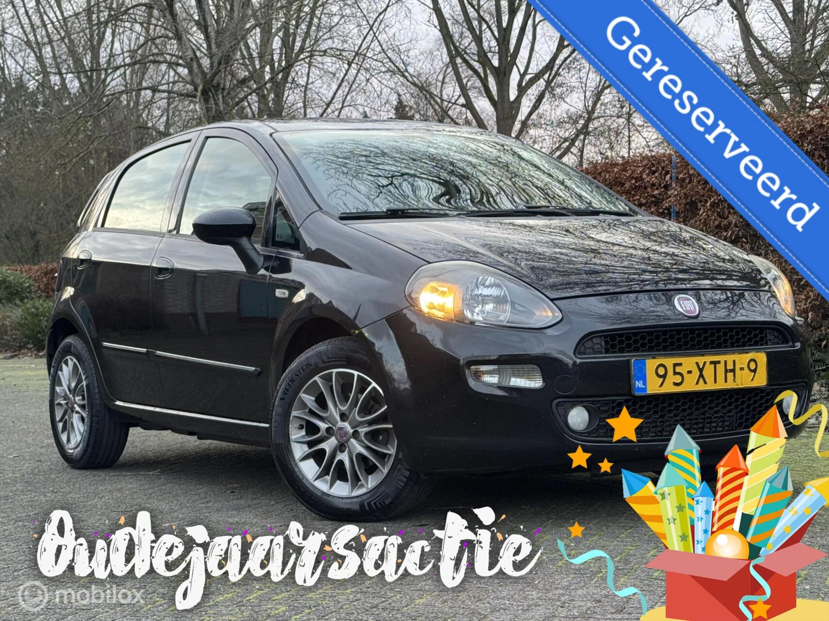 Hoofdafbeelding Fiat Punto