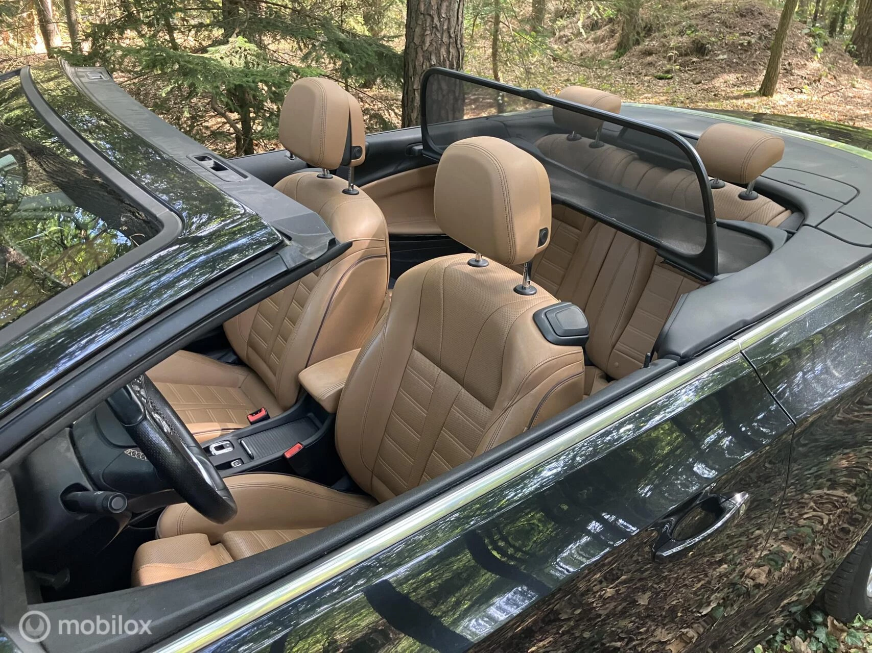 Hoofdafbeelding Opel Cascada