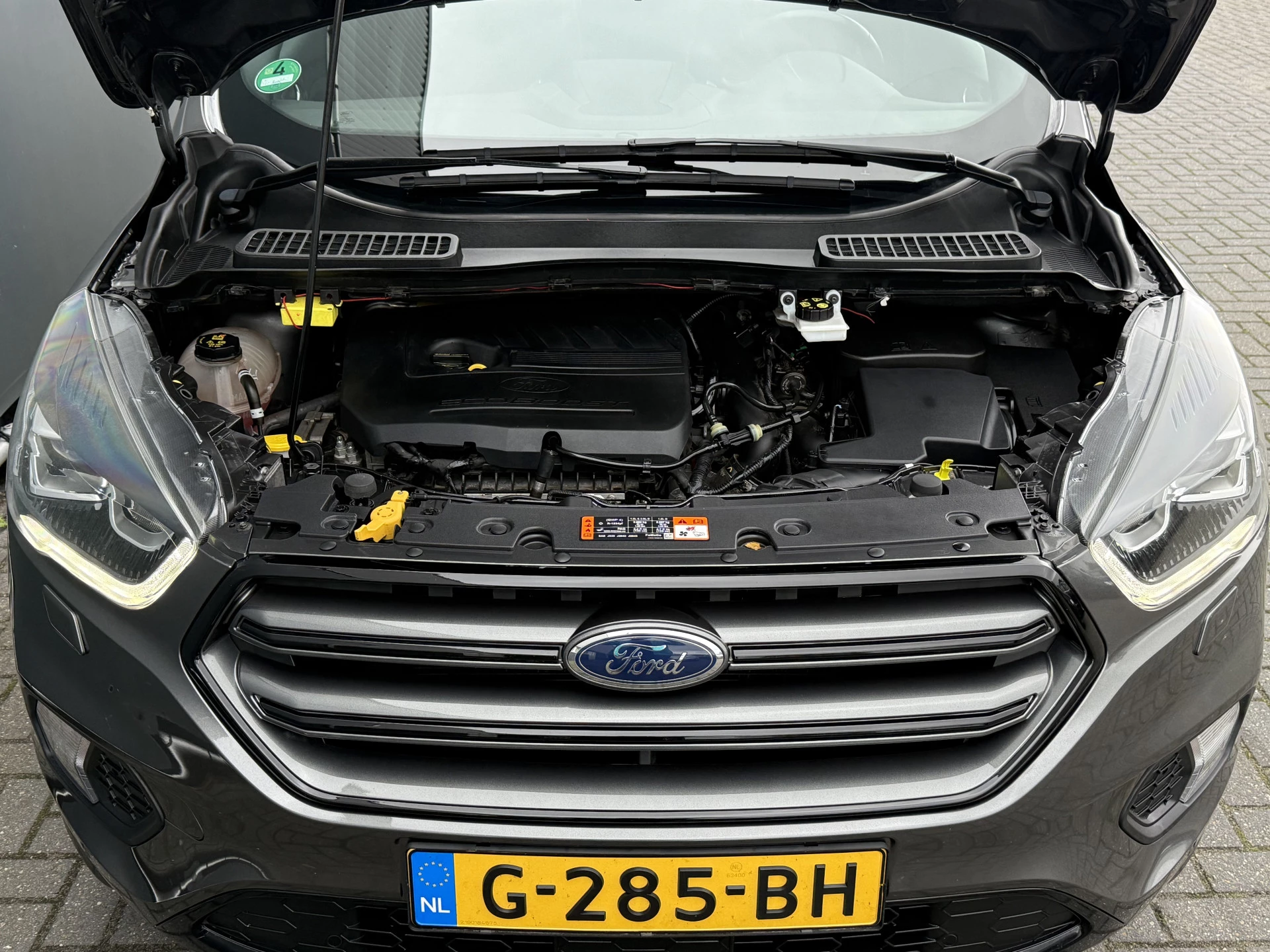 Hoofdafbeelding Ford Kuga
