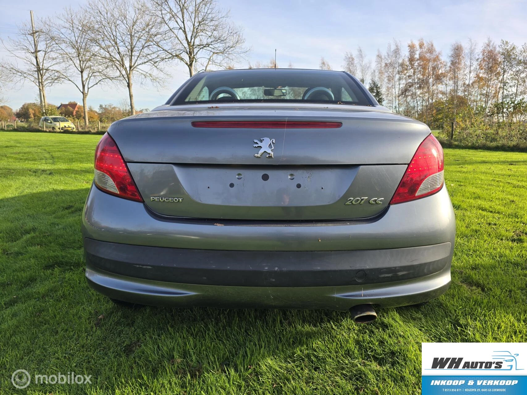 Hoofdafbeelding Peugeot 207