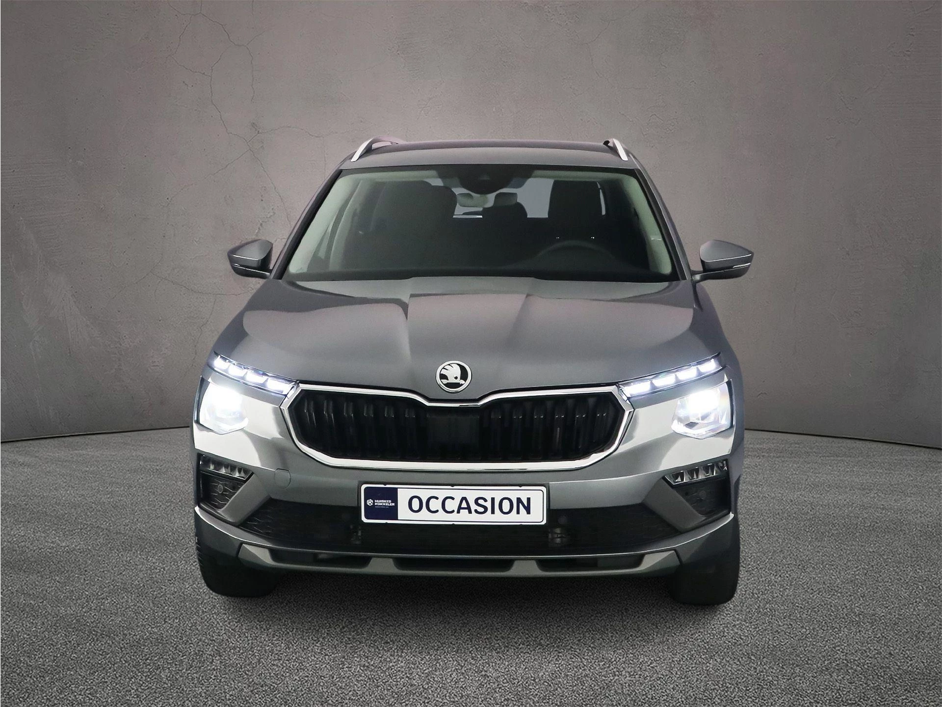 Hoofdafbeelding Škoda Kamiq
