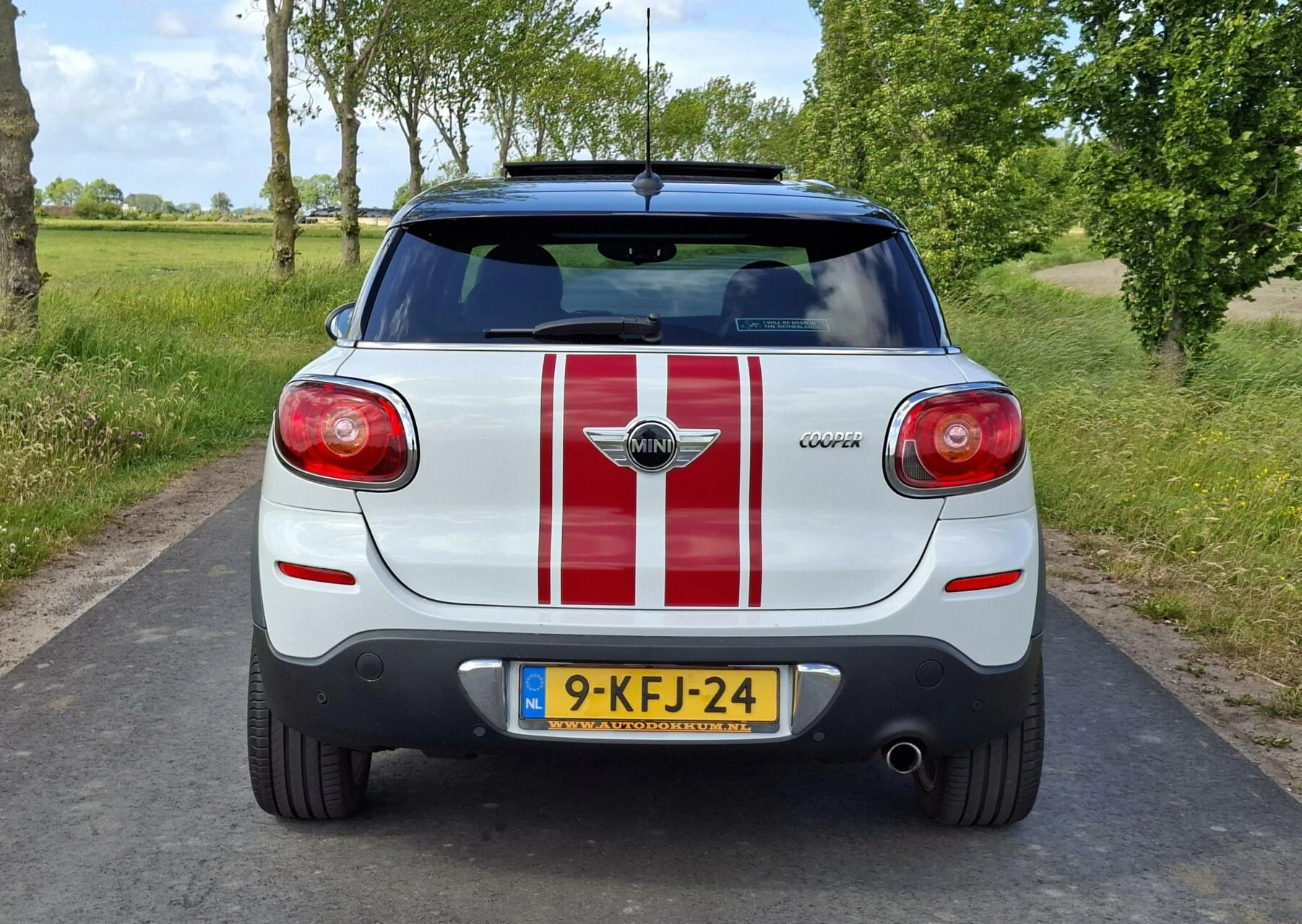 Hoofdafbeelding MINI Paceman