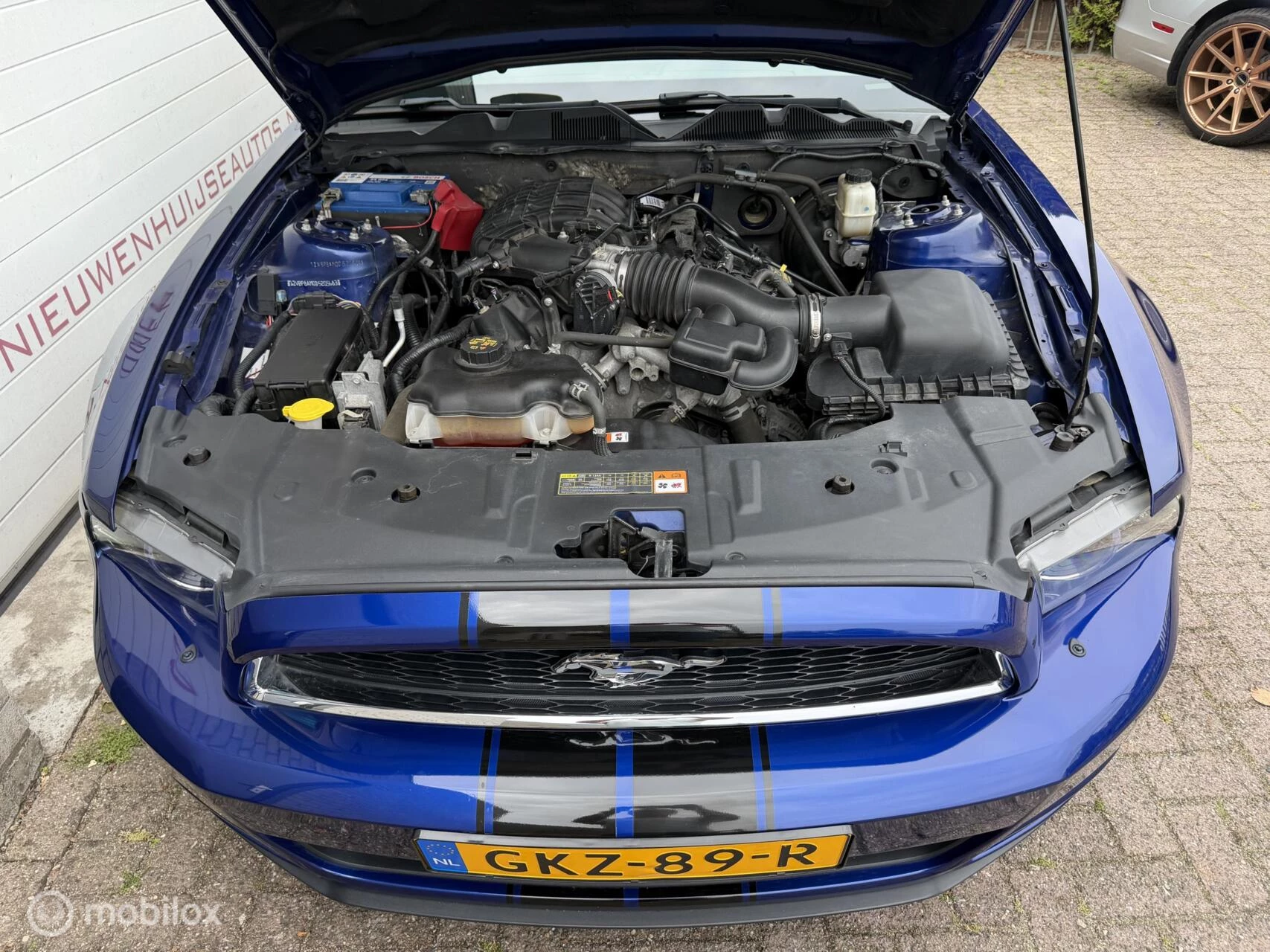 Hoofdafbeelding Ford Mustang