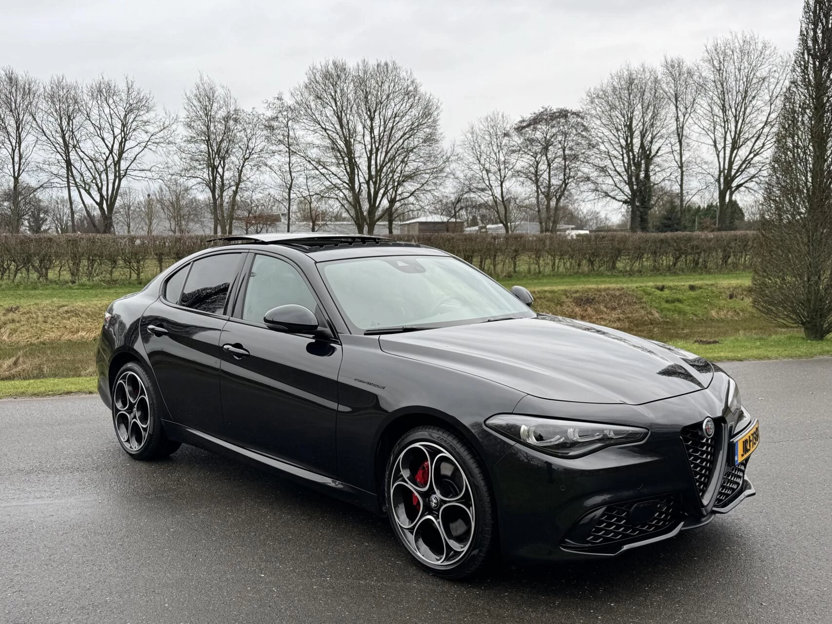 Hoofdafbeelding Alfa Romeo Giulia