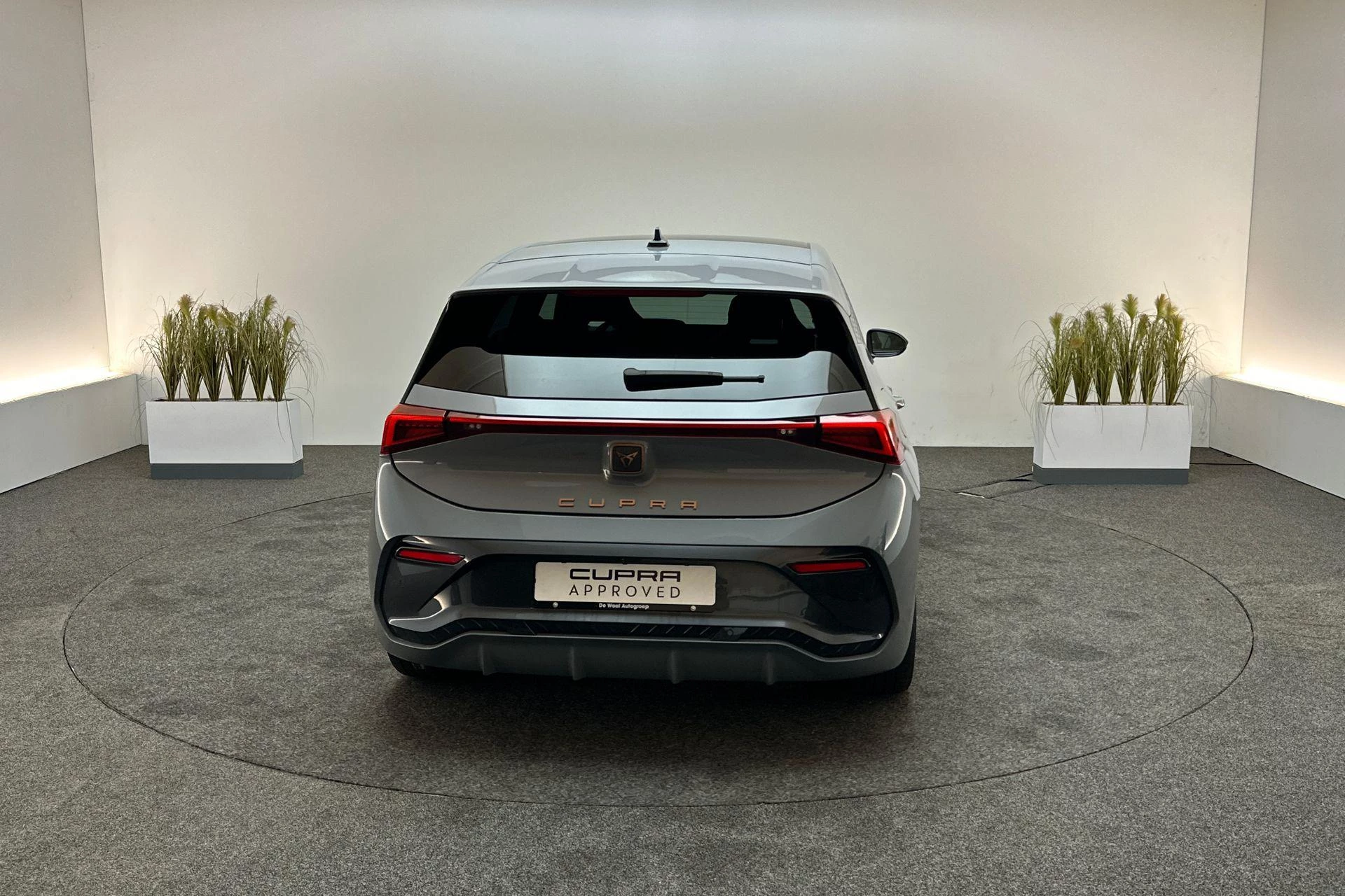 Hoofdafbeelding CUPRA Born