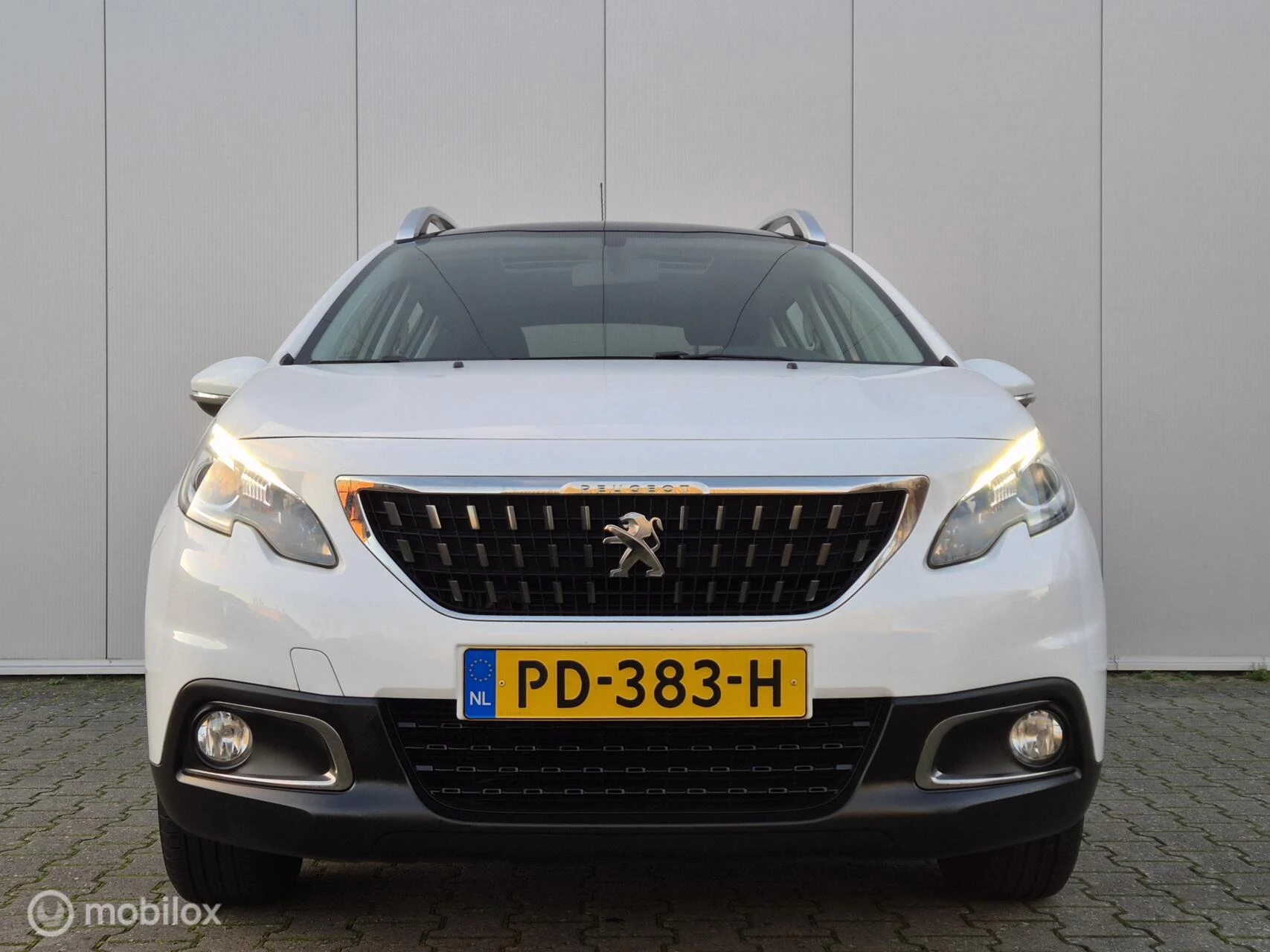 Hoofdafbeelding Peugeot 2008