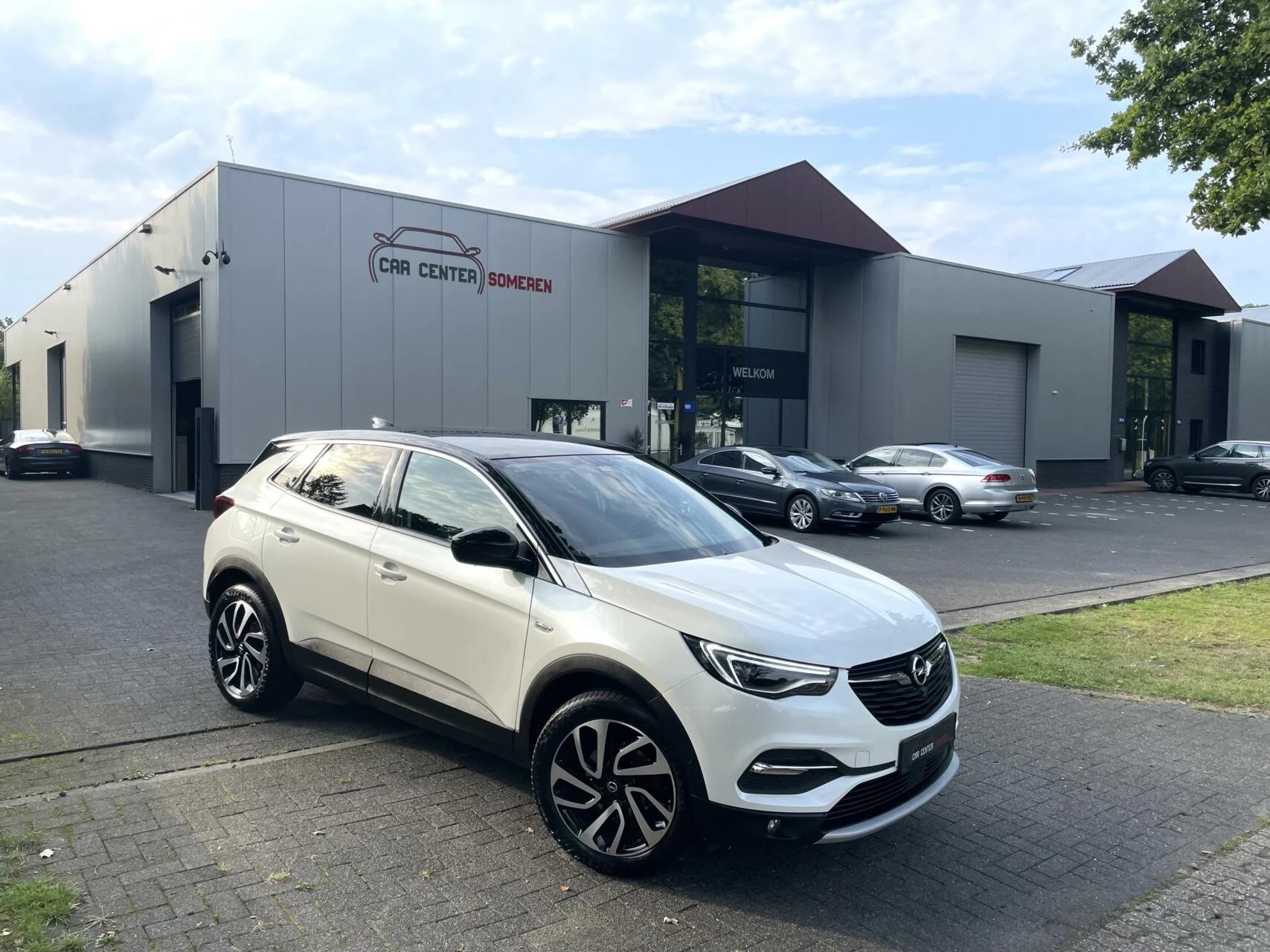 Hoofdafbeelding Opel Grandland X