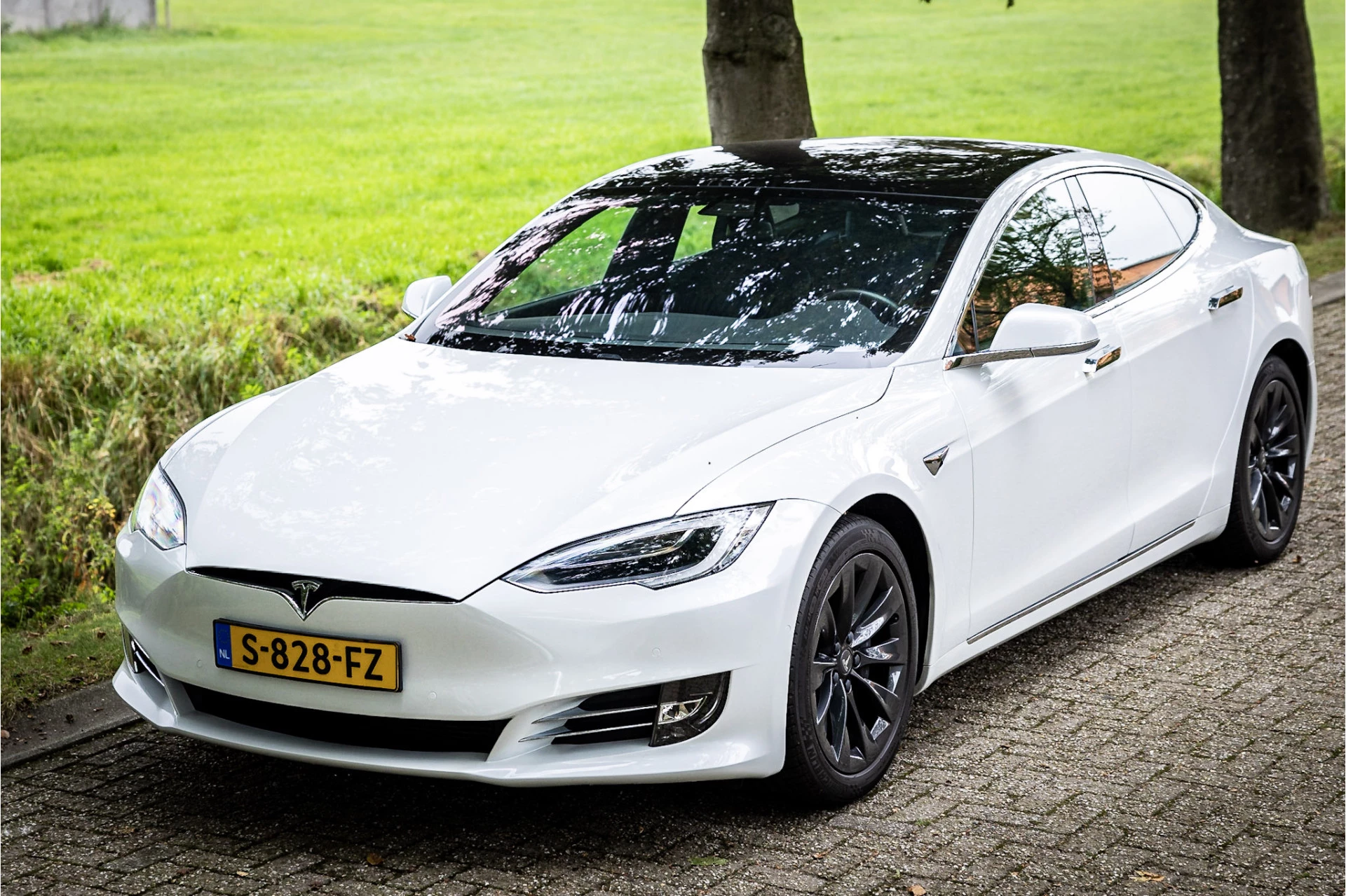 Hoofdafbeelding Tesla Model S