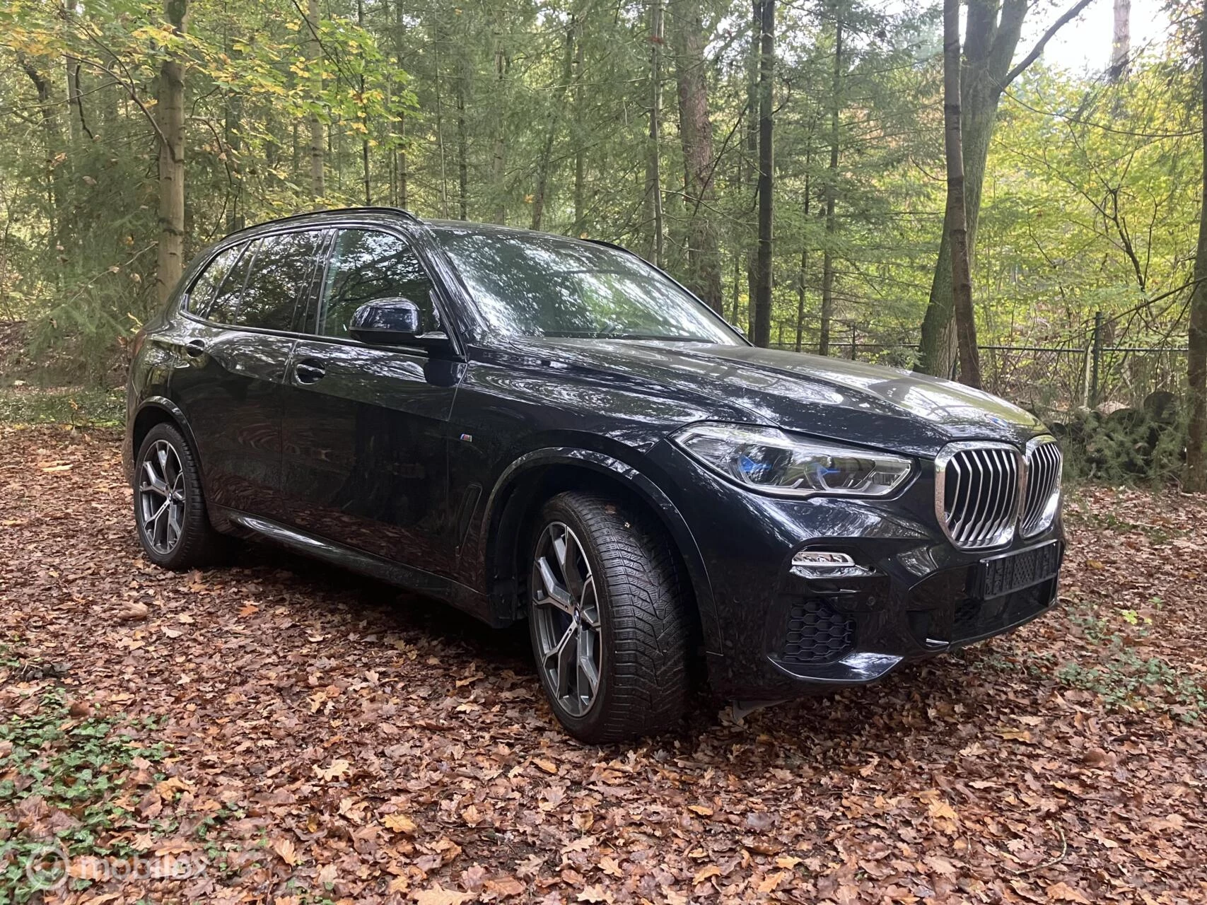 Hoofdafbeelding BMW X5