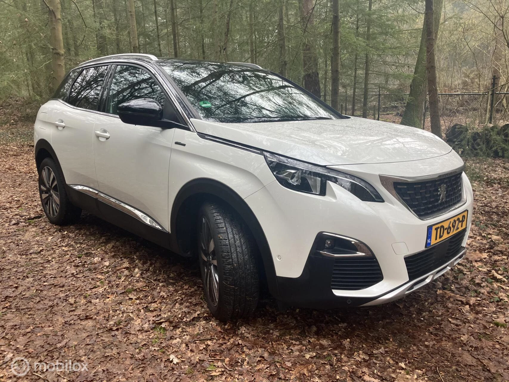 Hoofdafbeelding Peugeot 3008