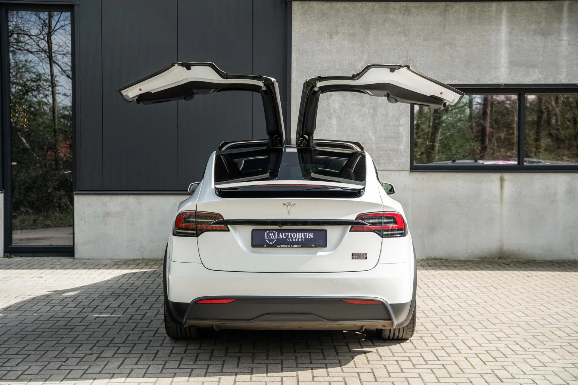 Hoofdafbeelding Tesla Model X