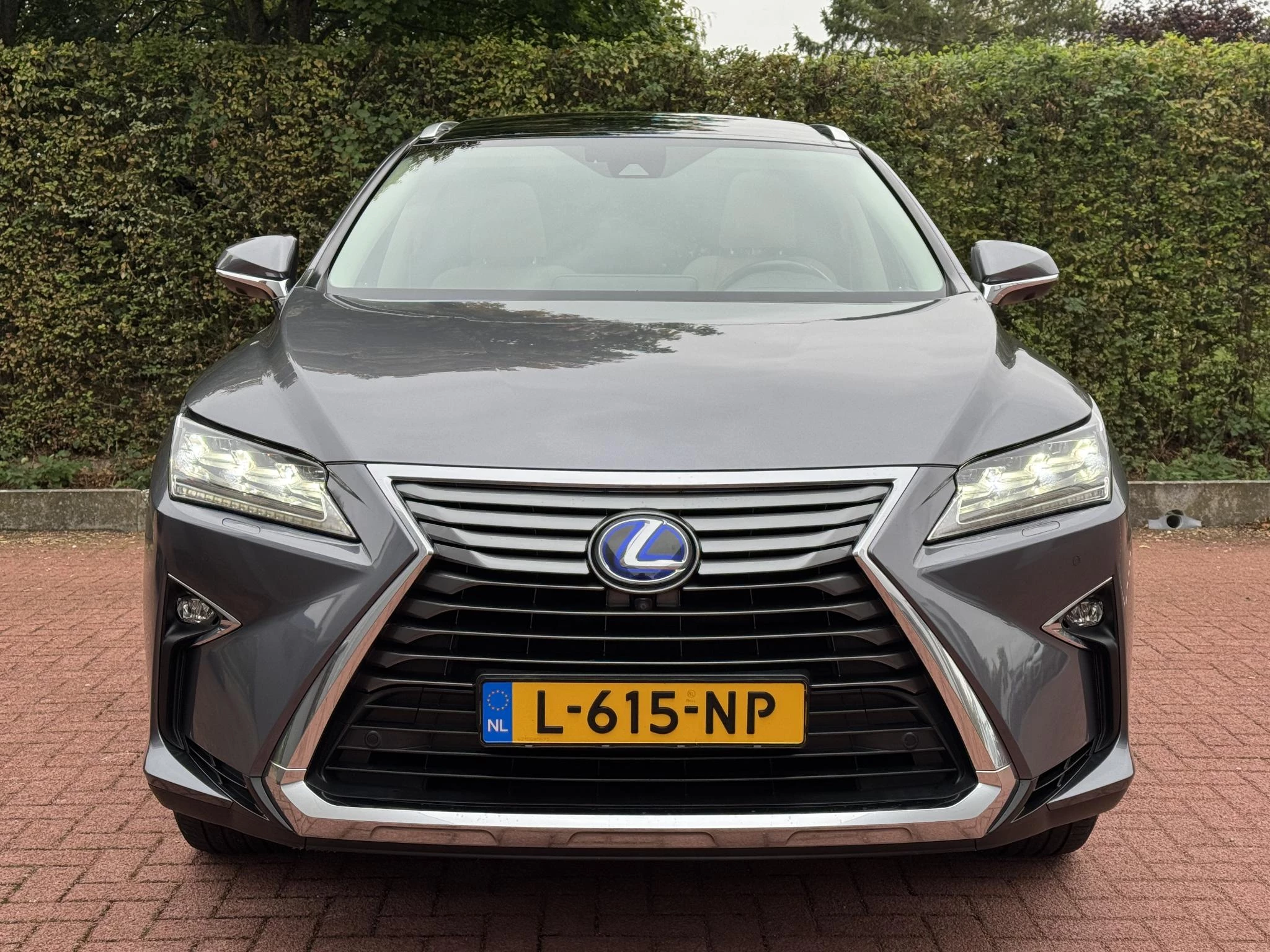 Hoofdafbeelding Lexus RX