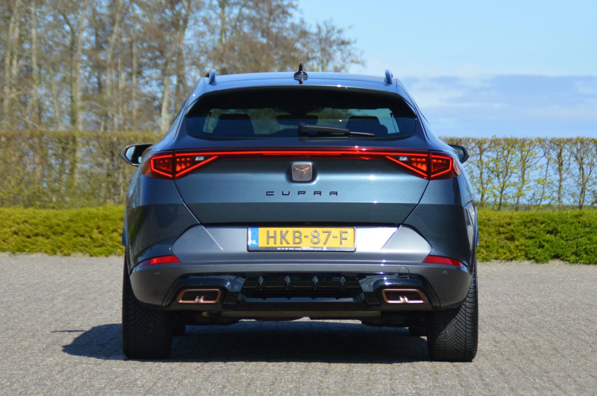 Hoofdafbeelding CUPRA Formentor
