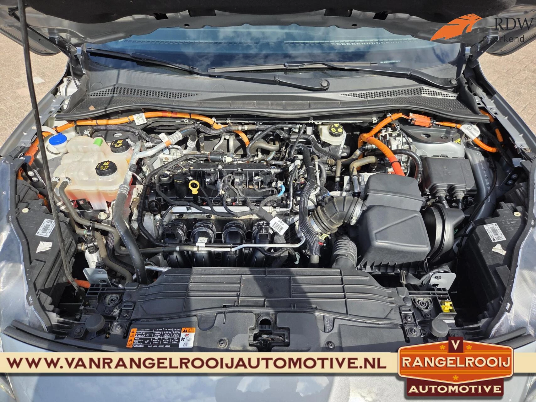 Hoofdafbeelding Ford Kuga