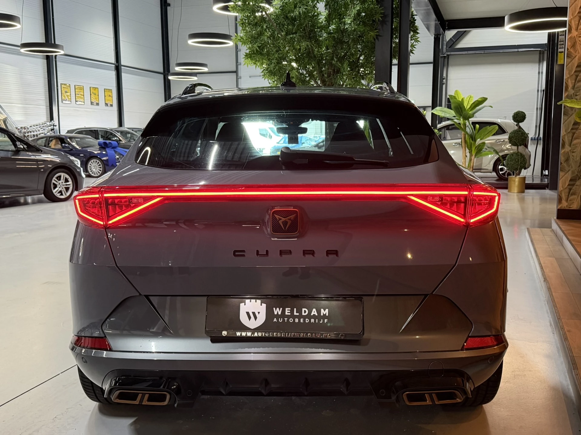 Hoofdafbeelding CUPRA Formentor