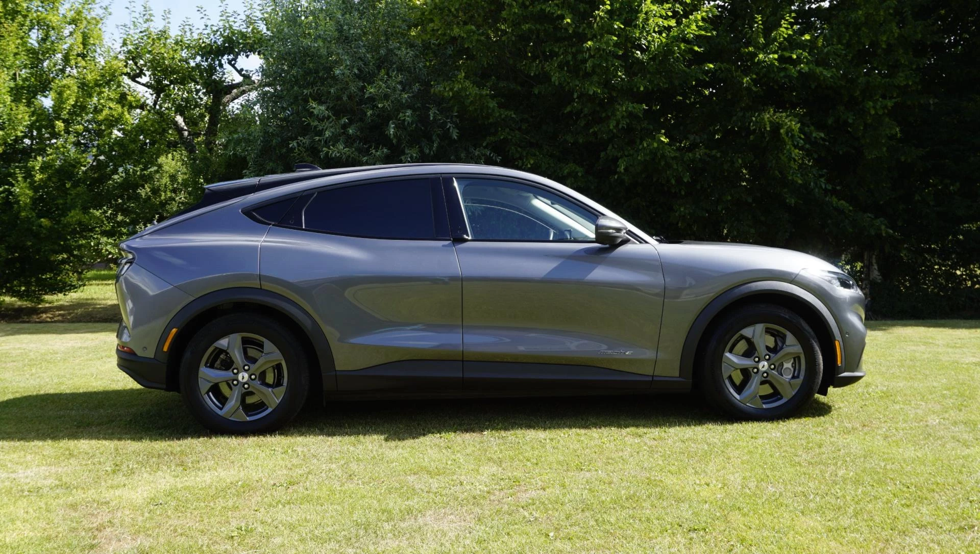 Hoofdafbeelding Ford Mustang Mach-E