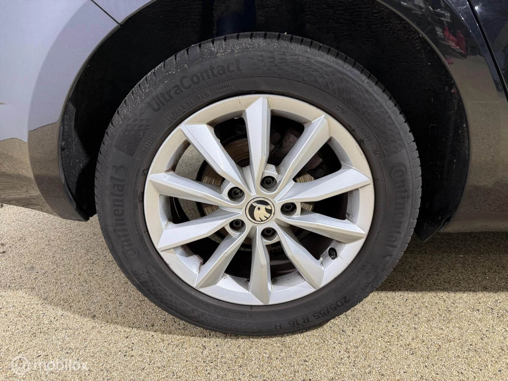 Hoofdafbeelding Škoda Octavia