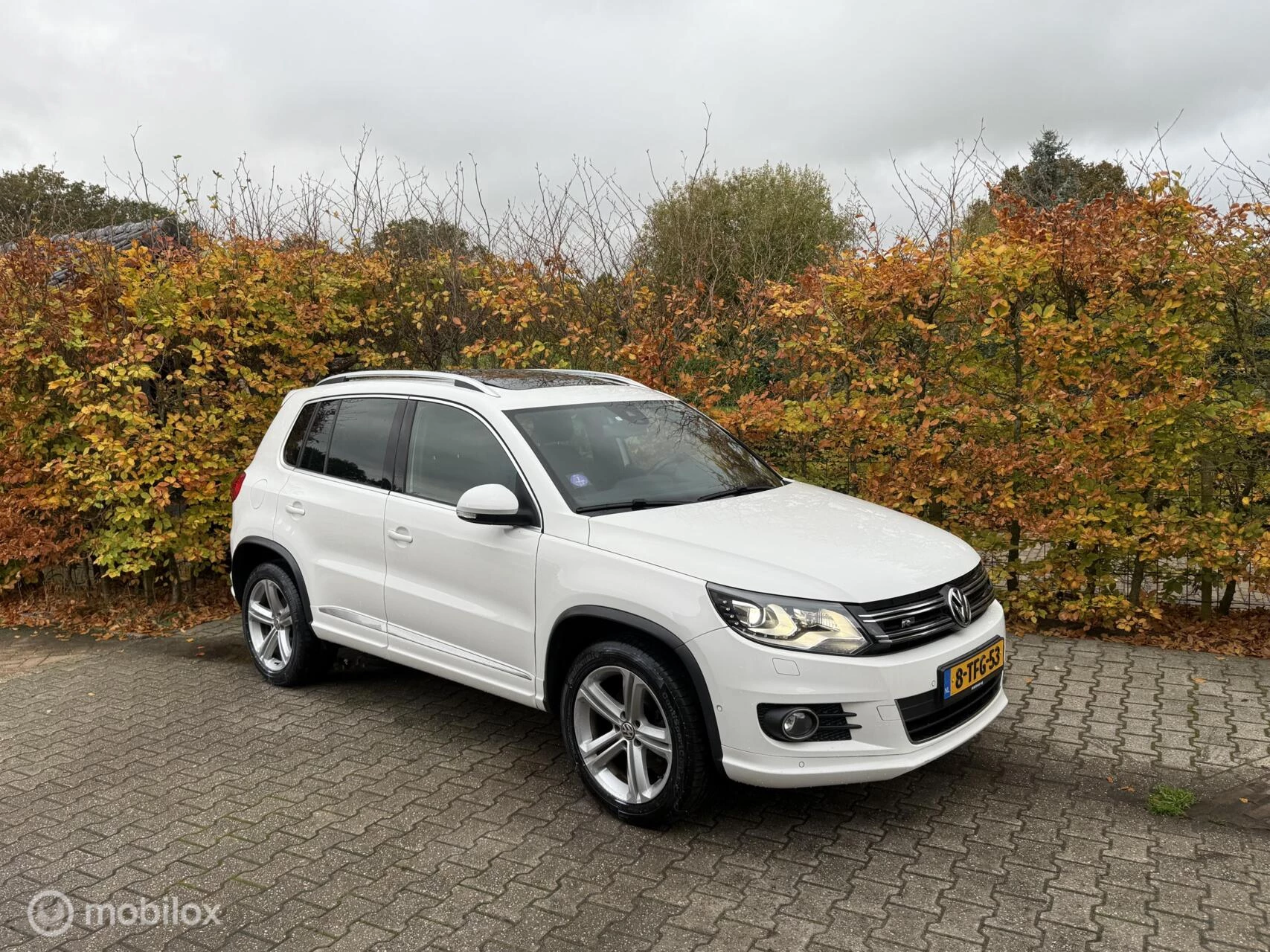 Hoofdafbeelding Volkswagen Tiguan