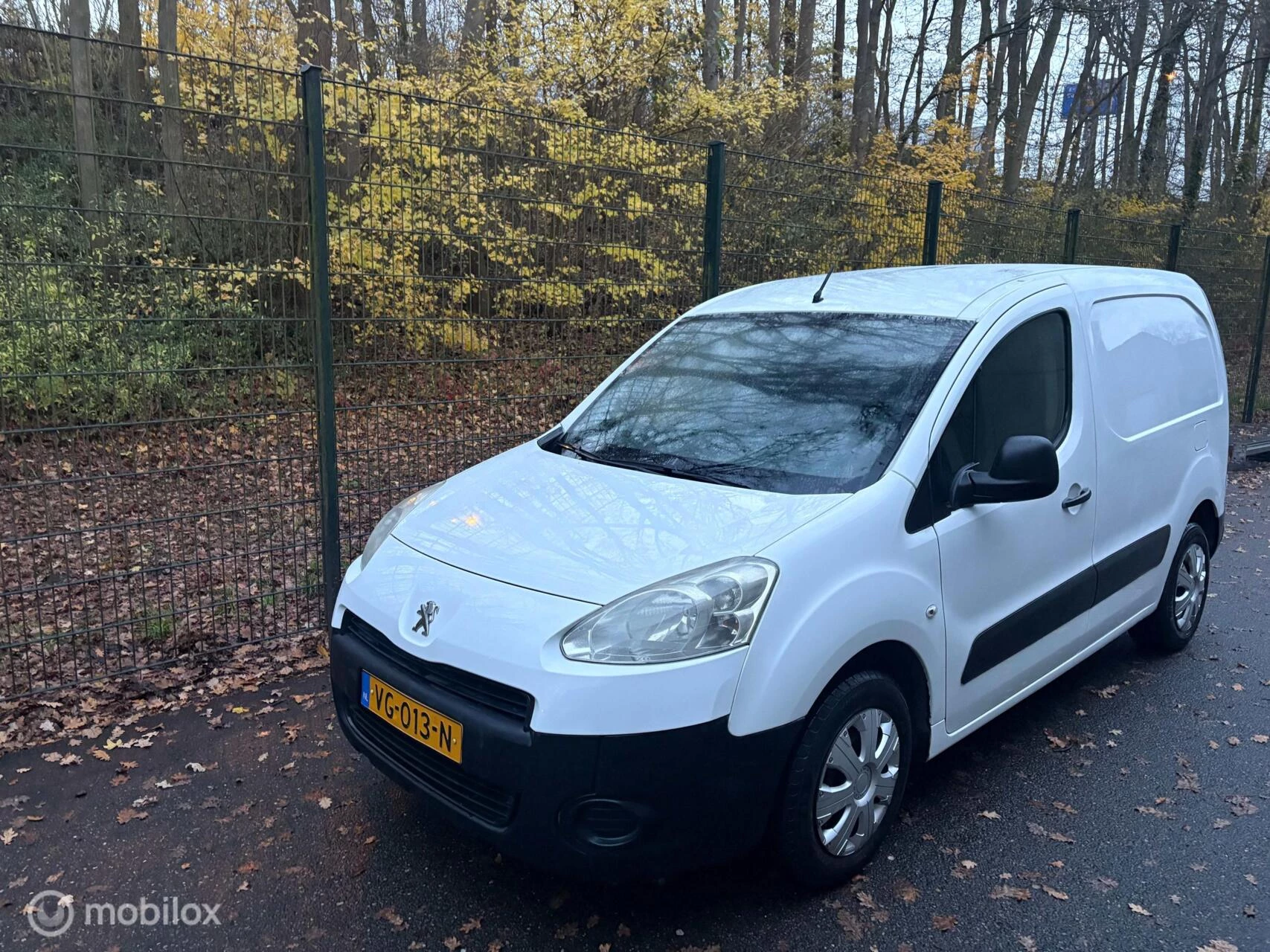 Hoofdafbeelding Peugeot Partner