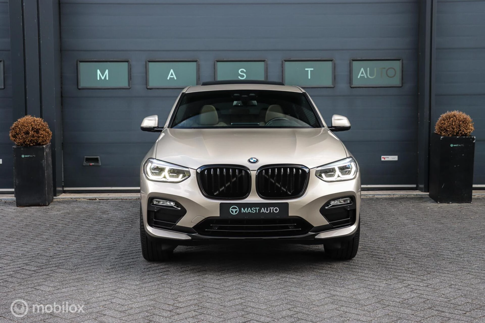 Hoofdafbeelding BMW X4