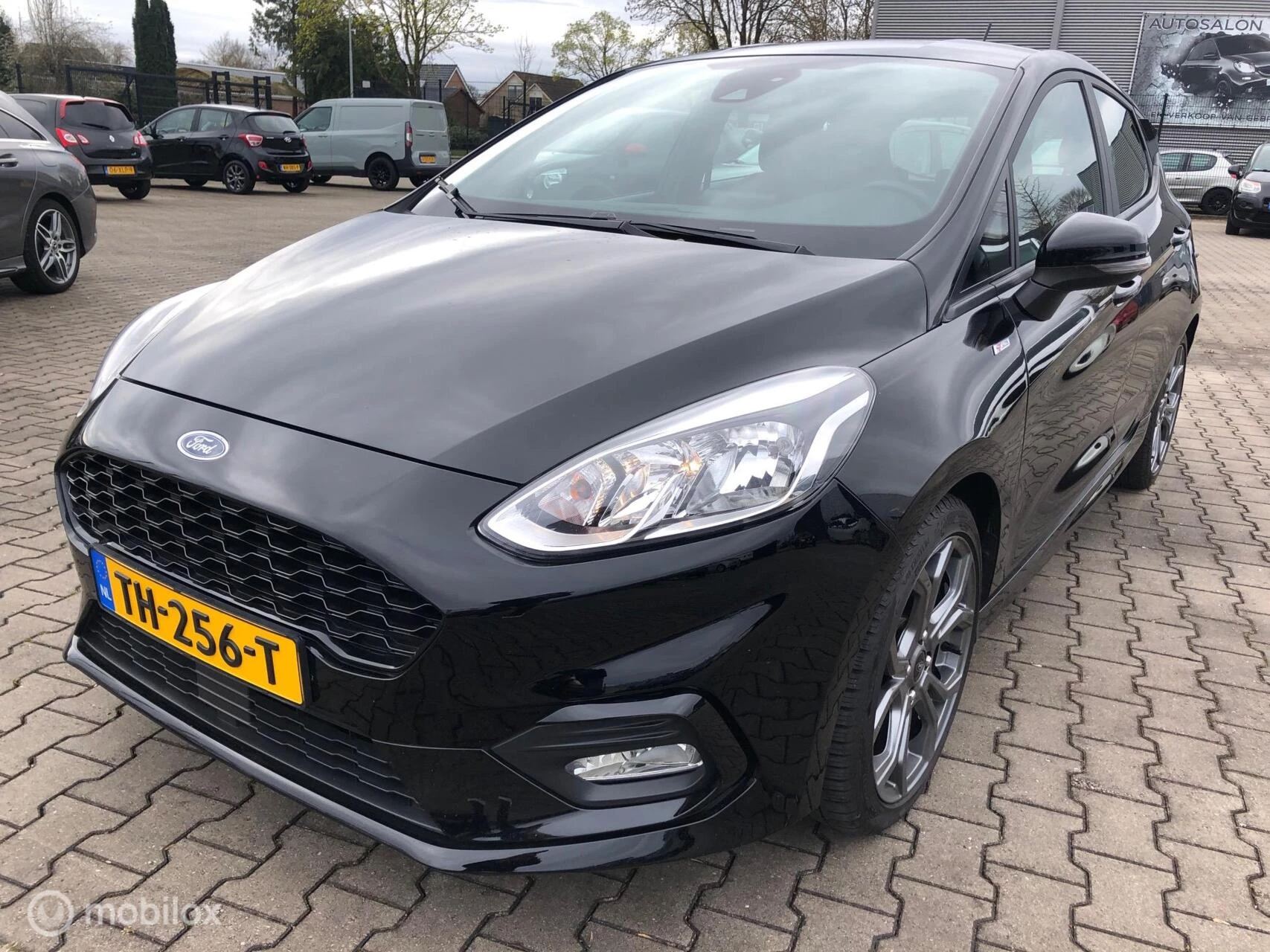 Hoofdafbeelding Ford Fiesta