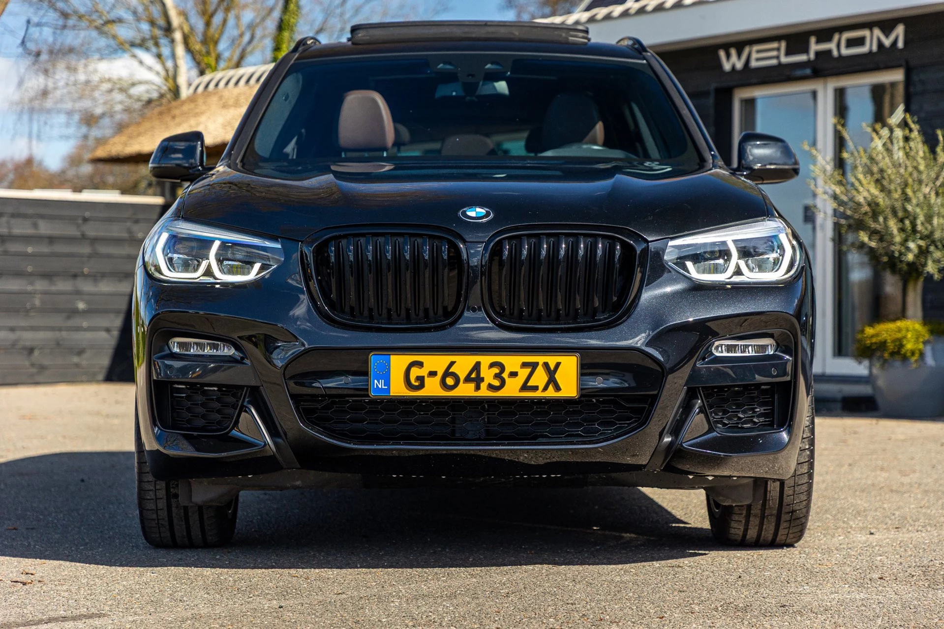 Hoofdafbeelding BMW X3