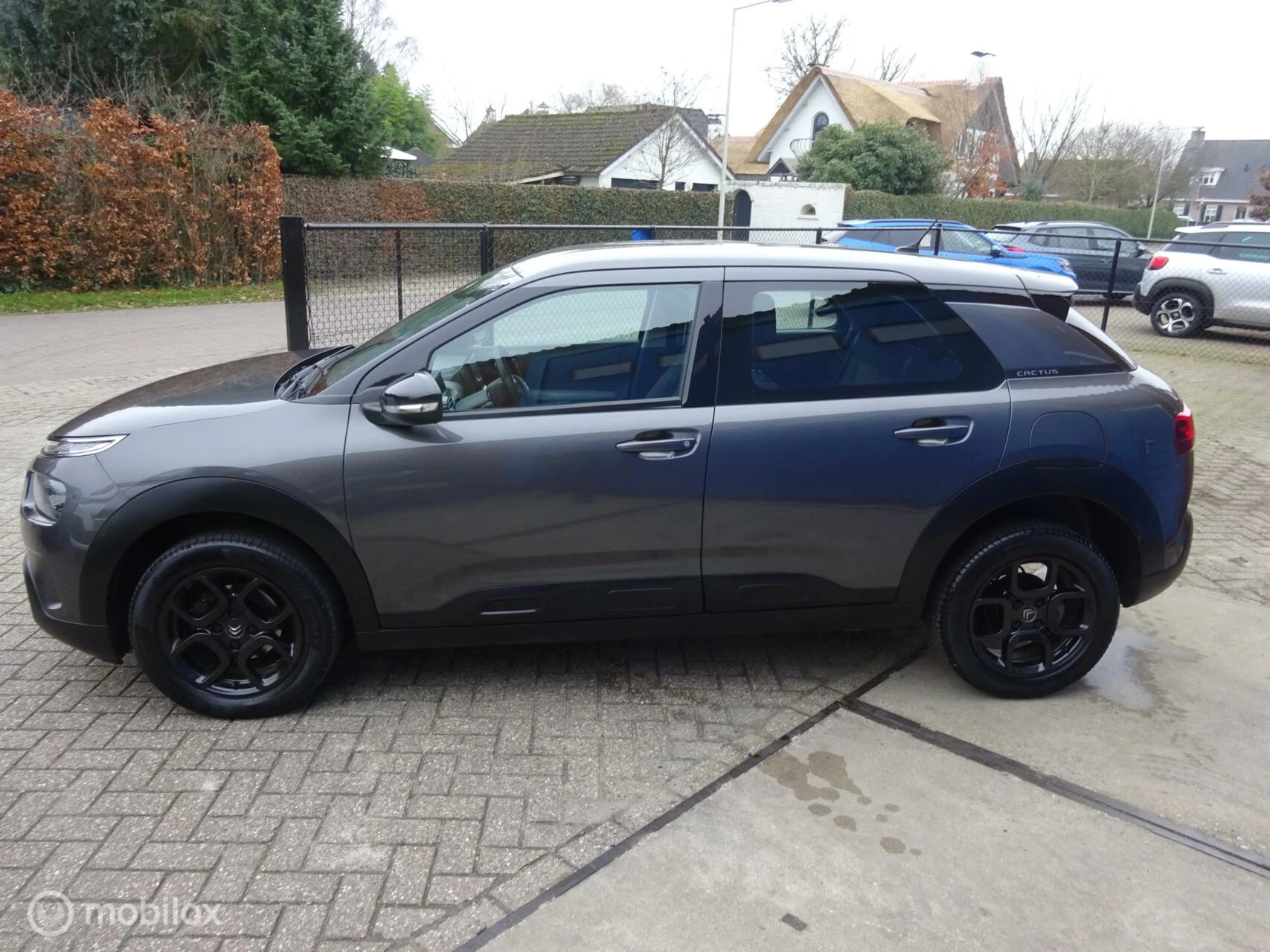 Hoofdafbeelding Citroën C4 Cactus