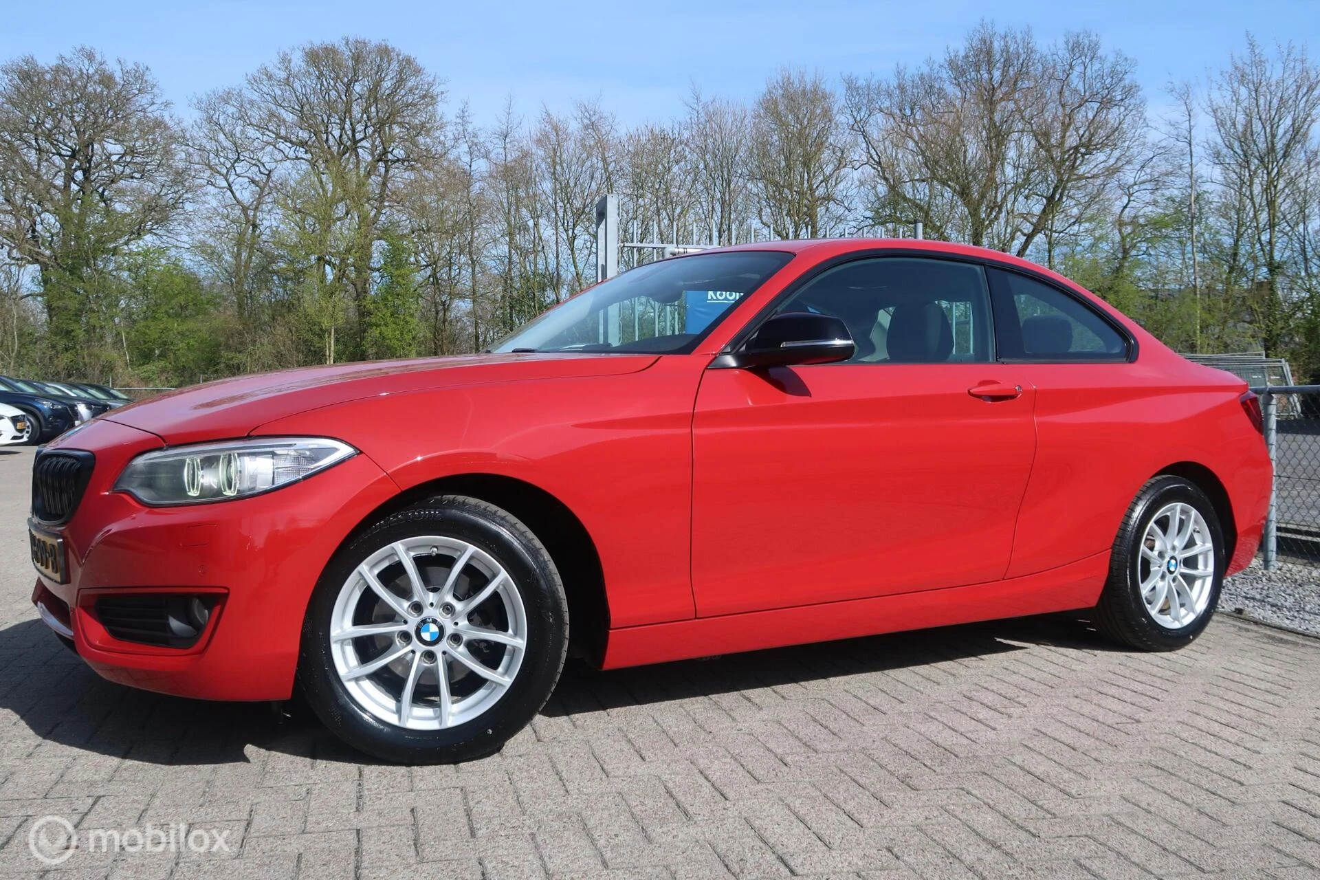 Hoofdafbeelding BMW 2 Serie