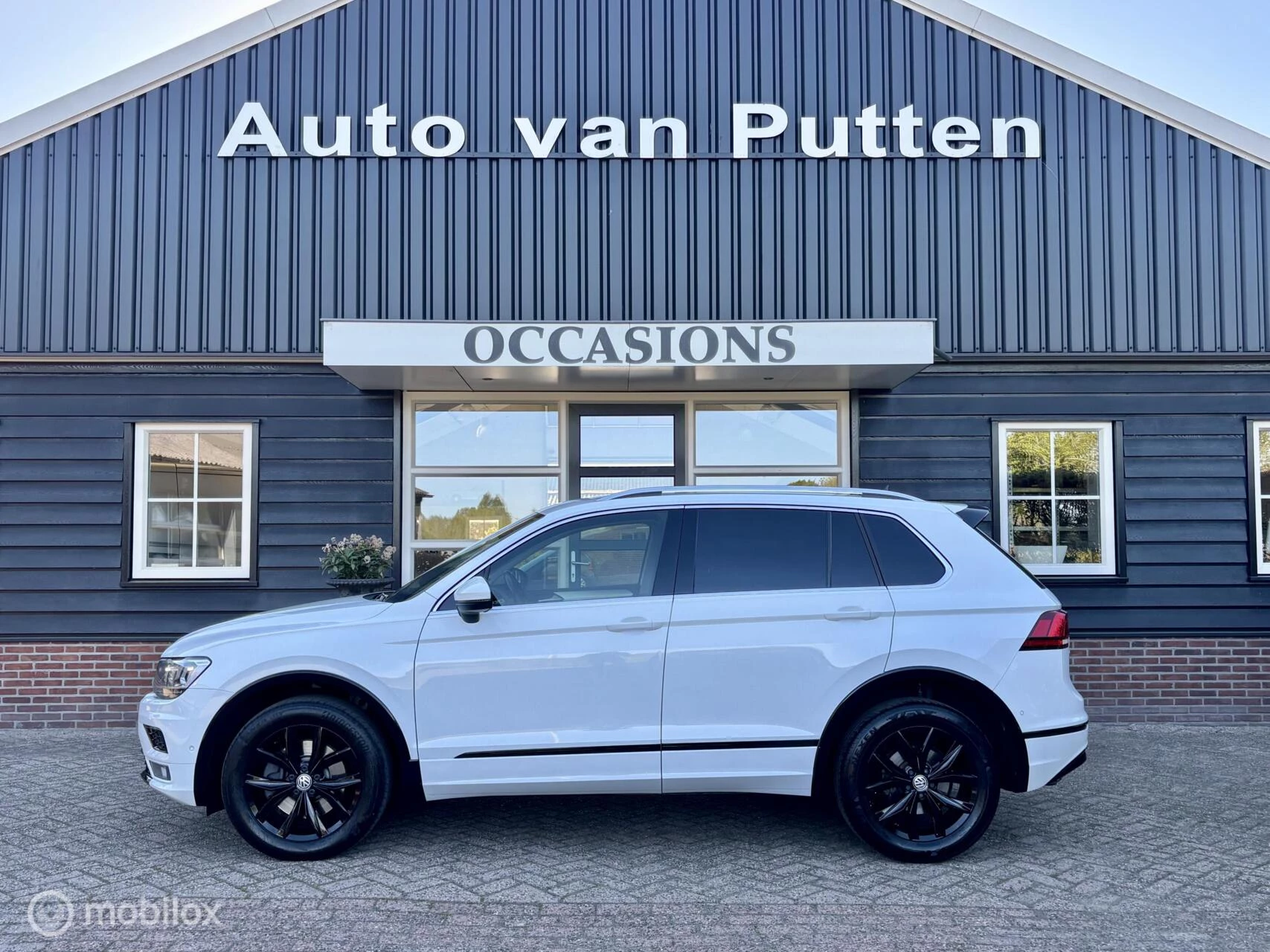 Hoofdafbeelding Volkswagen Tiguan