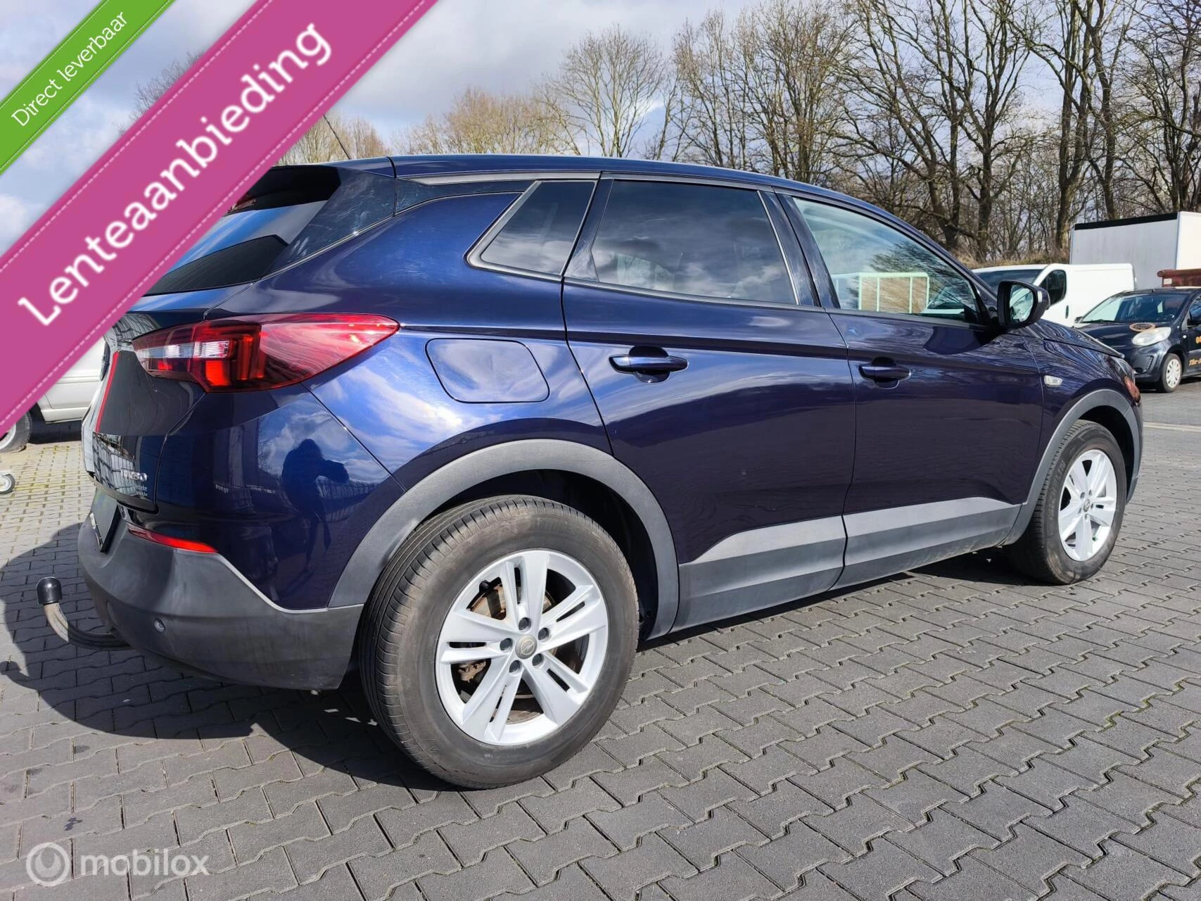 Hoofdafbeelding Opel Grandland X