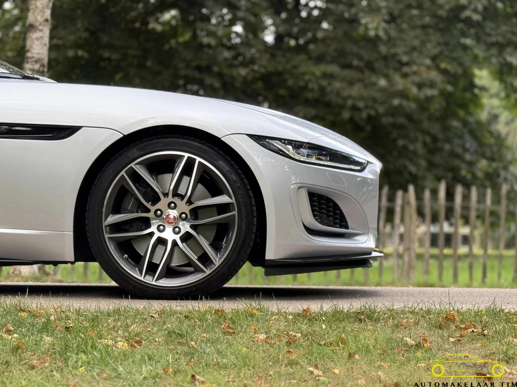 Hoofdafbeelding Jaguar F-Type