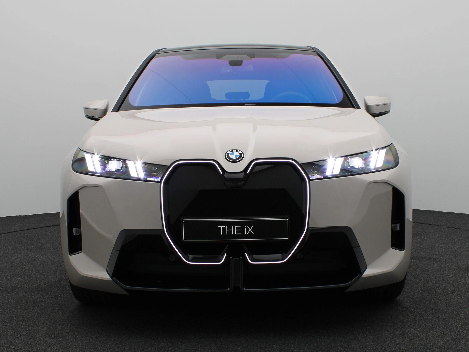 Hoofdafbeelding BMW iX