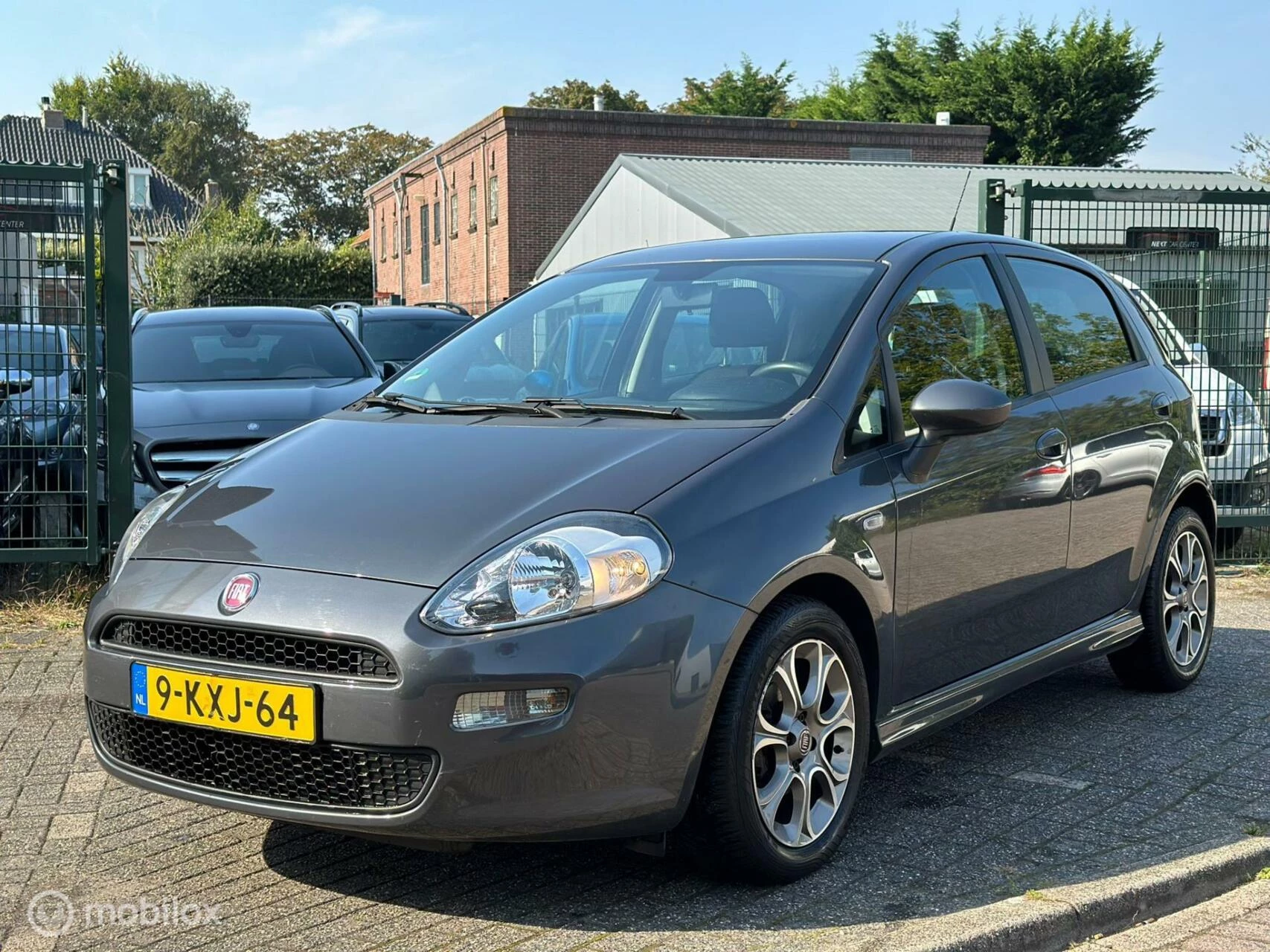 Hoofdafbeelding Fiat Punto