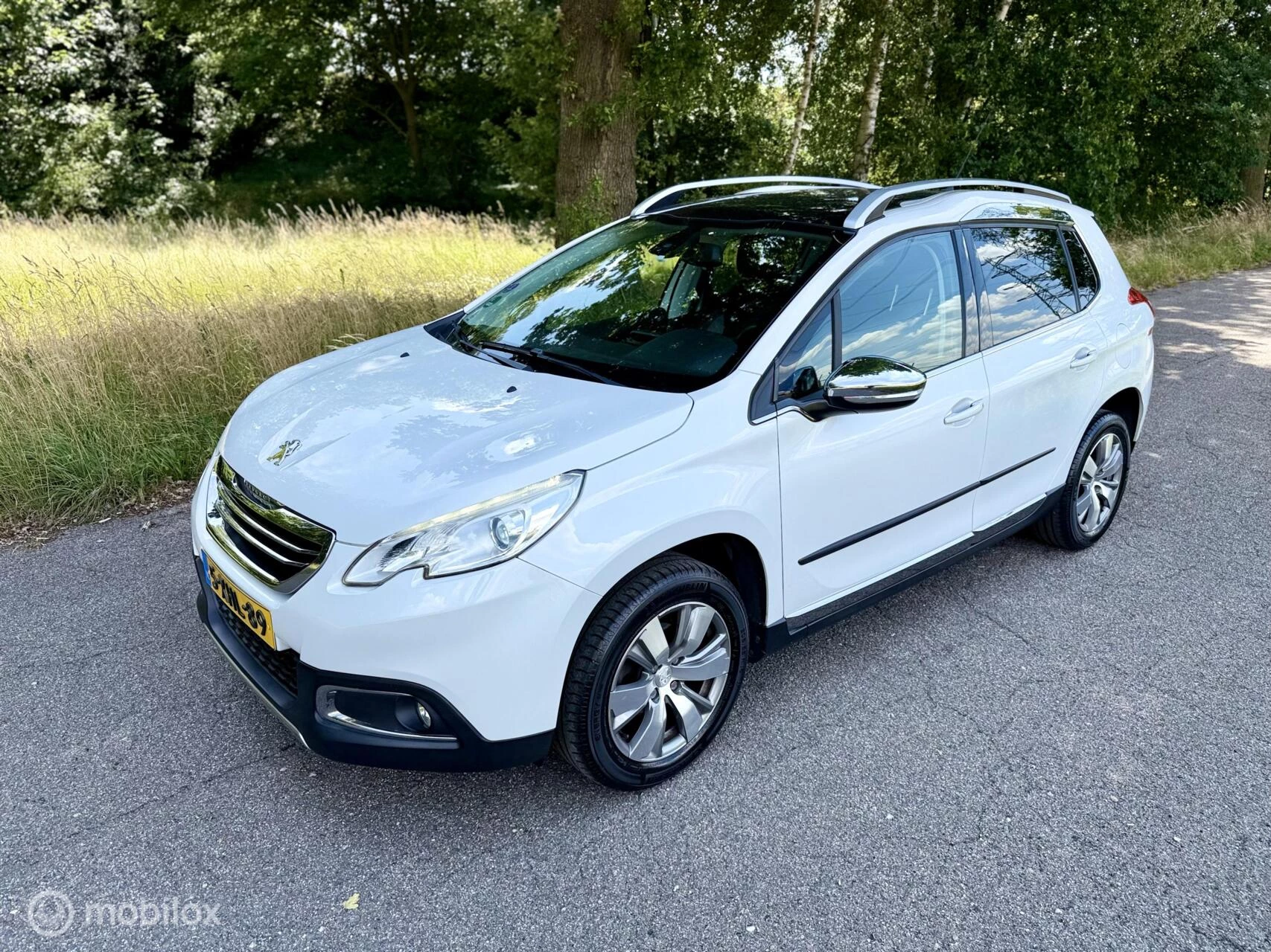 Hoofdafbeelding Peugeot 2008